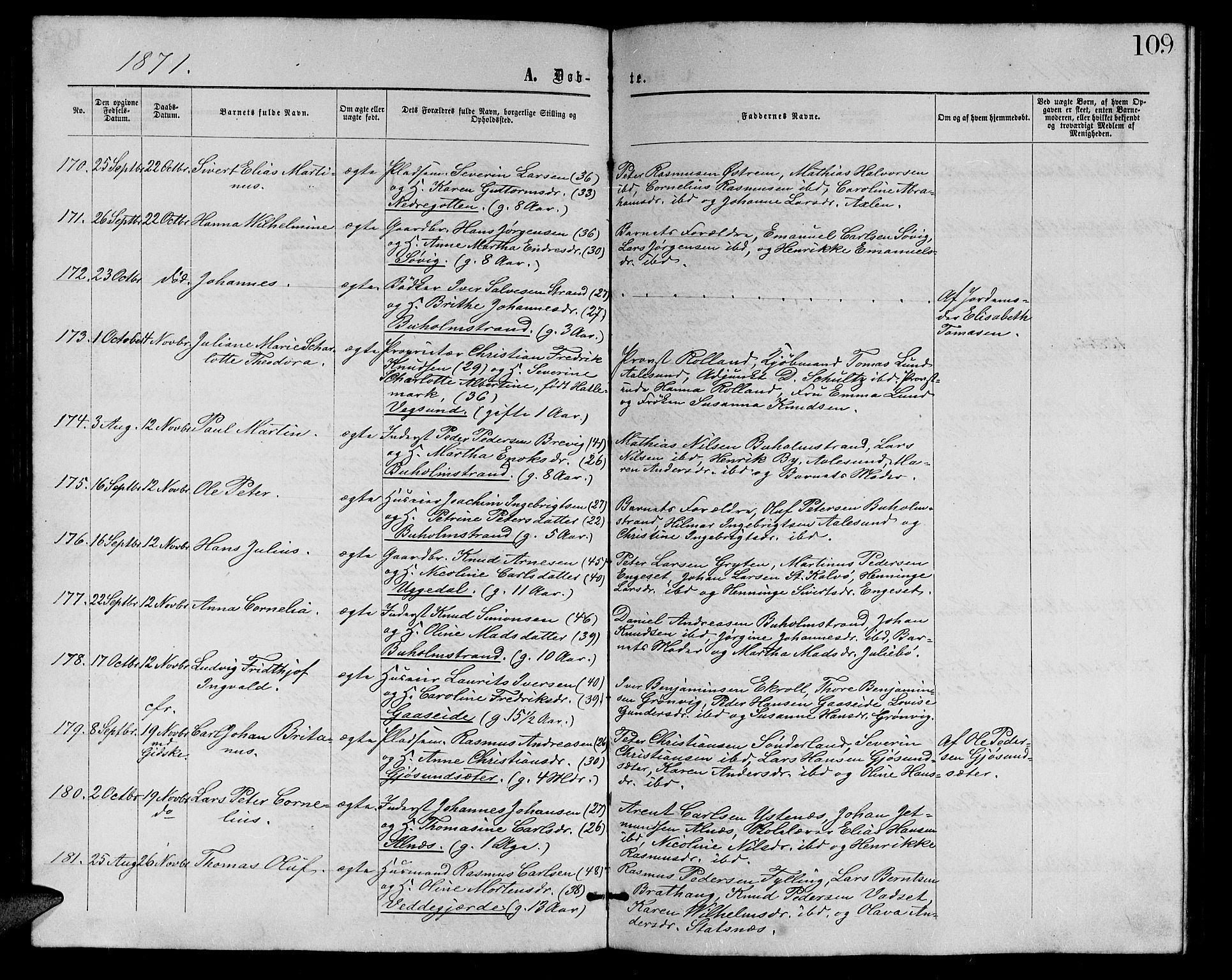 Ministerialprotokoller, klokkerbøker og fødselsregistre - Møre og Romsdal, AV/SAT-A-1454/528/L0428: Parish register (copy) no. 528C09, 1864-1880, p. 109