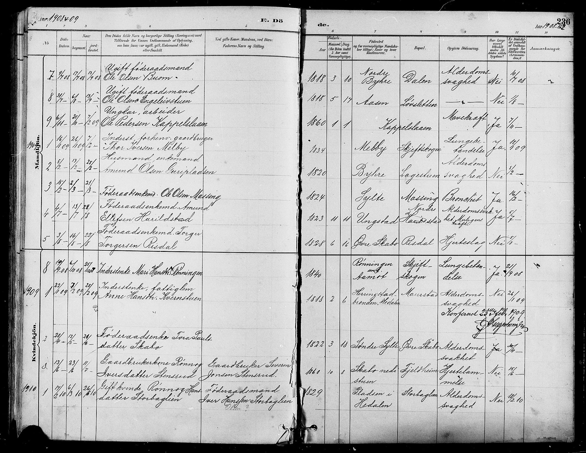 Nord-Fron prestekontor, SAH/PREST-080/H/Ha/Hab/L0005: Parish register (copy) no. 5, 1884-1914, p. 236