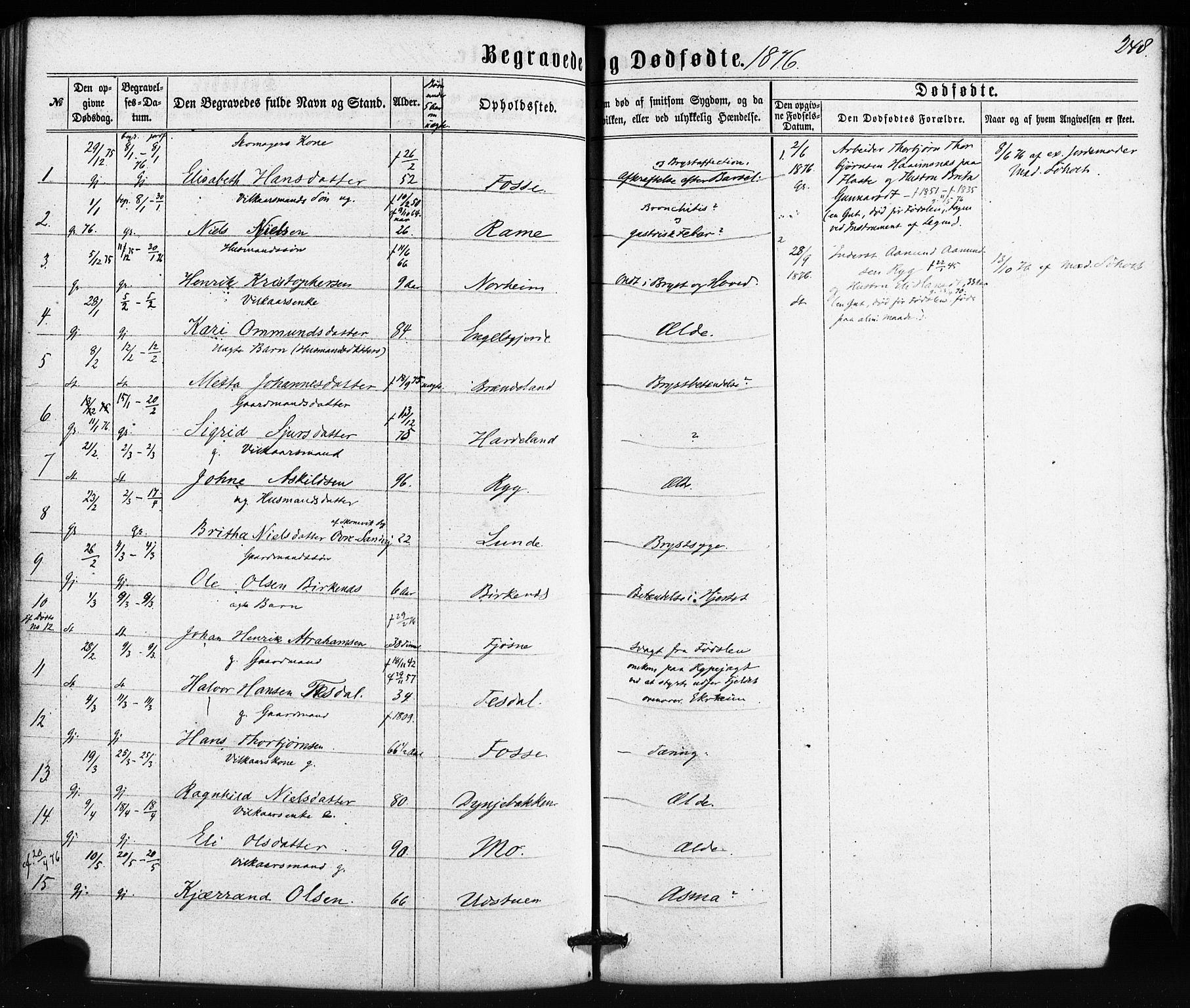 Etne sokneprestembete, SAB/A-75001/H/Haa: Parish register (official) no. A 9, 1862-1878, p. 248