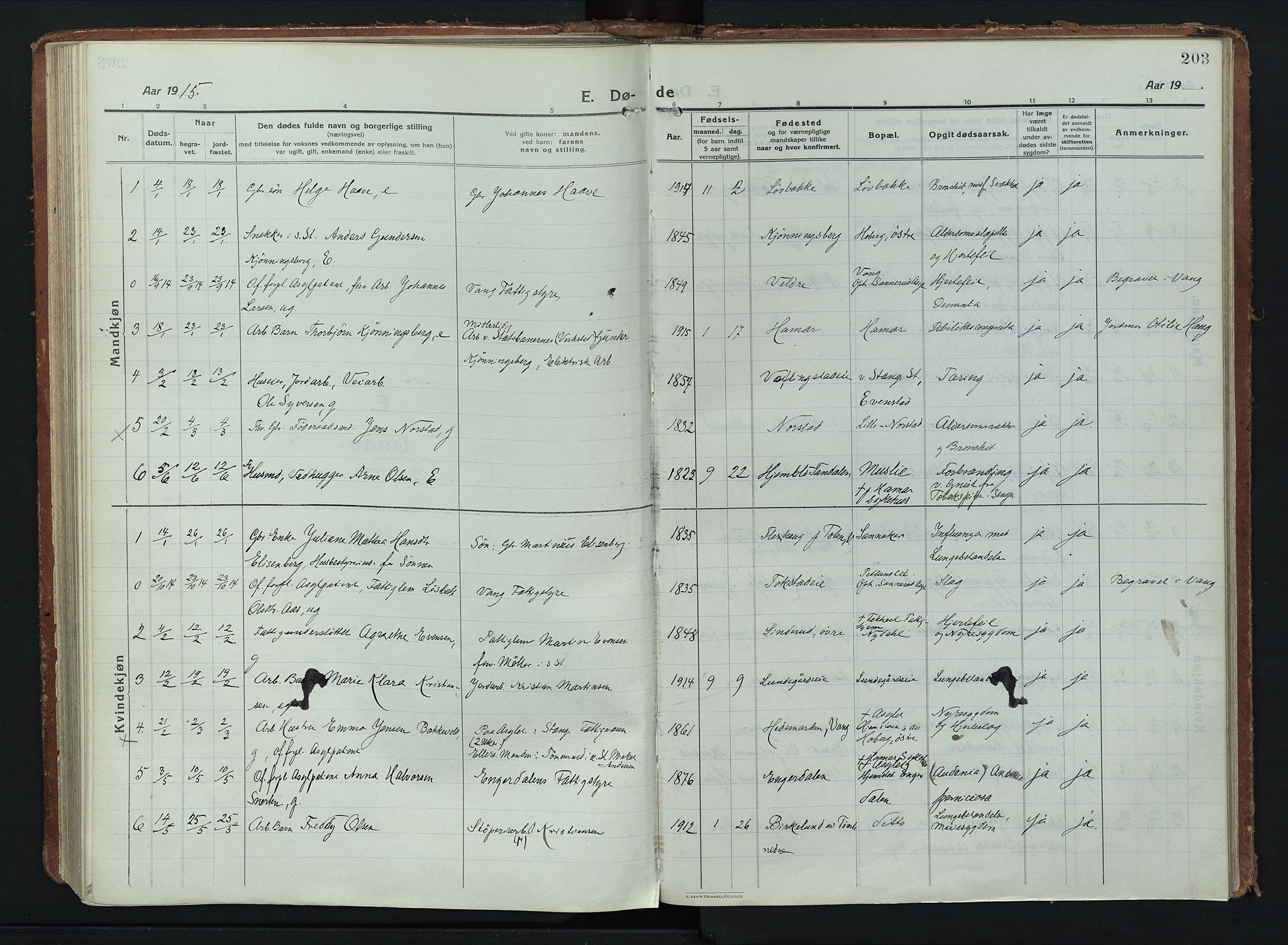 Stange prestekontor, SAH/PREST-002/K/L0028: Parish register (official) no. 28, 1913-1932, p. 203