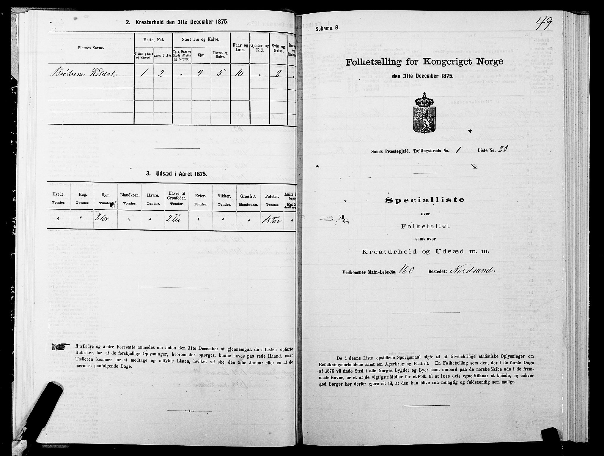 SATØ, 1875 census for 1915P Sand, 1875, p. 1049