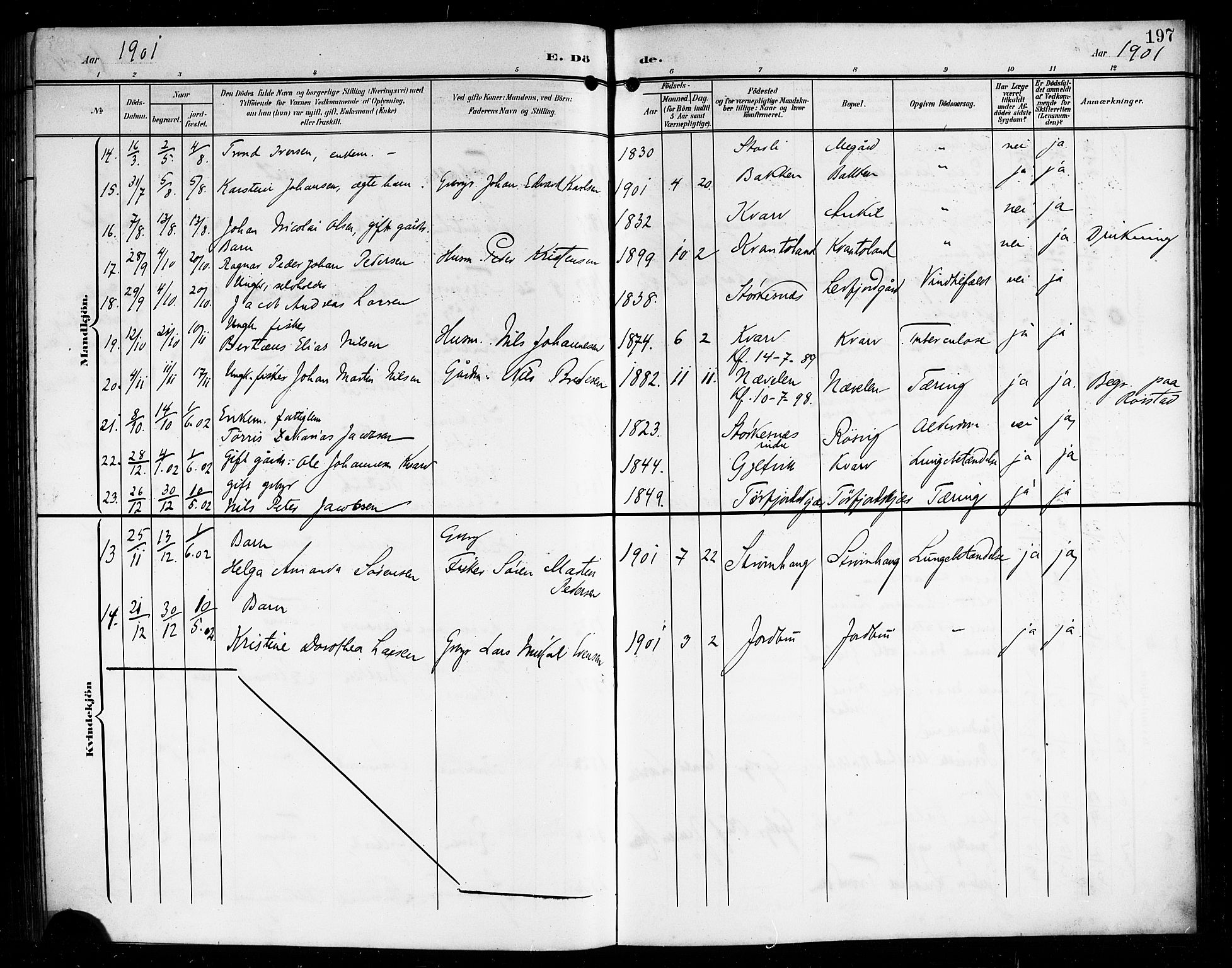 Ministerialprotokoller, klokkerbøker og fødselsregistre - Nordland, AV/SAT-A-1459/854/L0786: Parish register (copy) no. 854C02, 1901-1912, p. 197