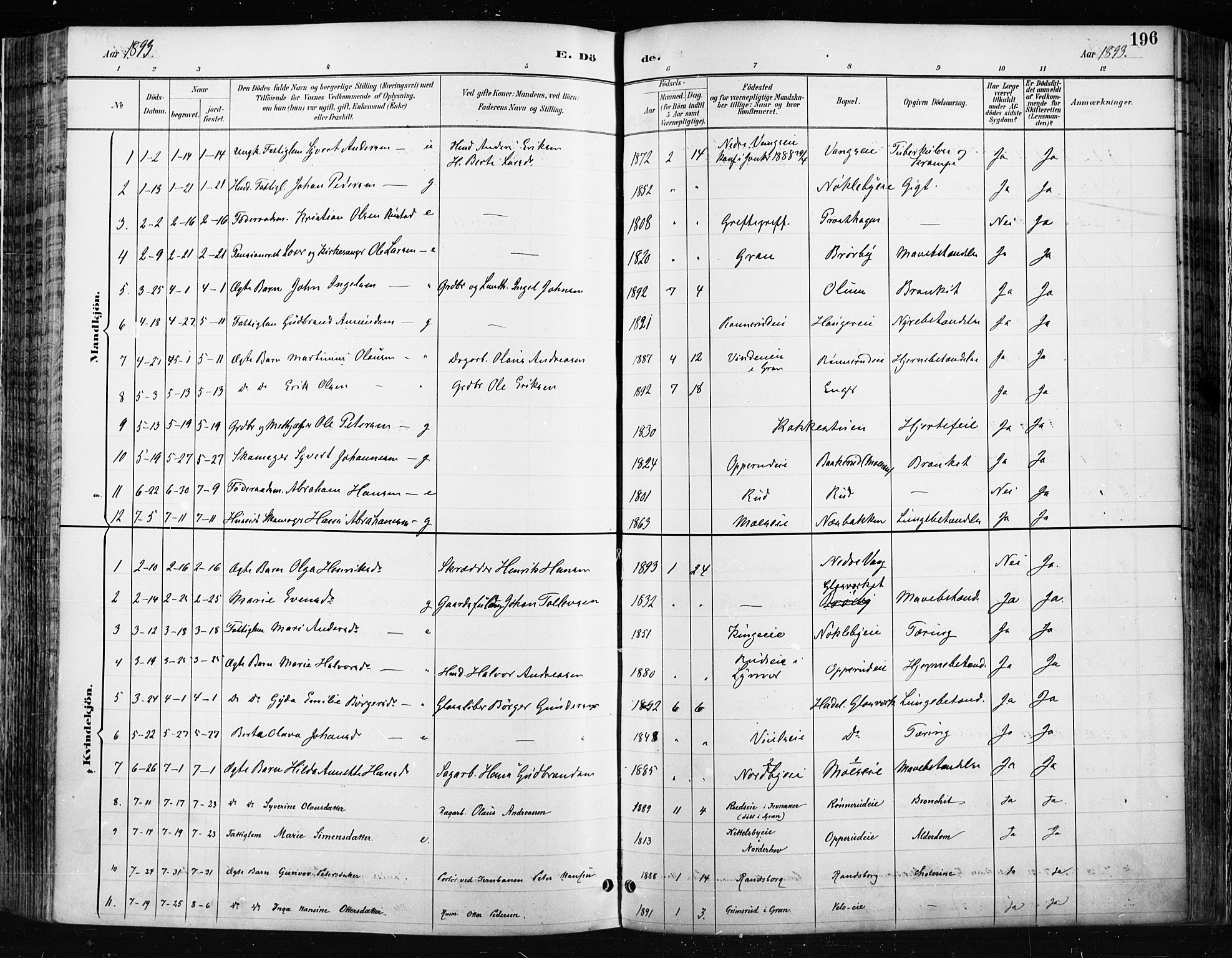 Jevnaker prestekontor, SAH/PREST-116/H/Ha/Haa/L0009: Parish register (official) no. 9, 1891-1901, p. 196