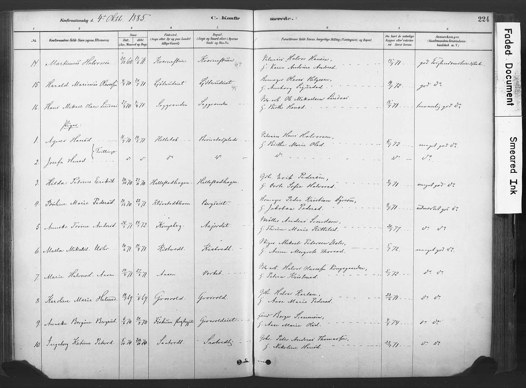 Sandsvær kirkebøker, SAKO/A-244/F/Fd/L0001: Parish register (official) no. IV 1, 1878-1906, p. 224