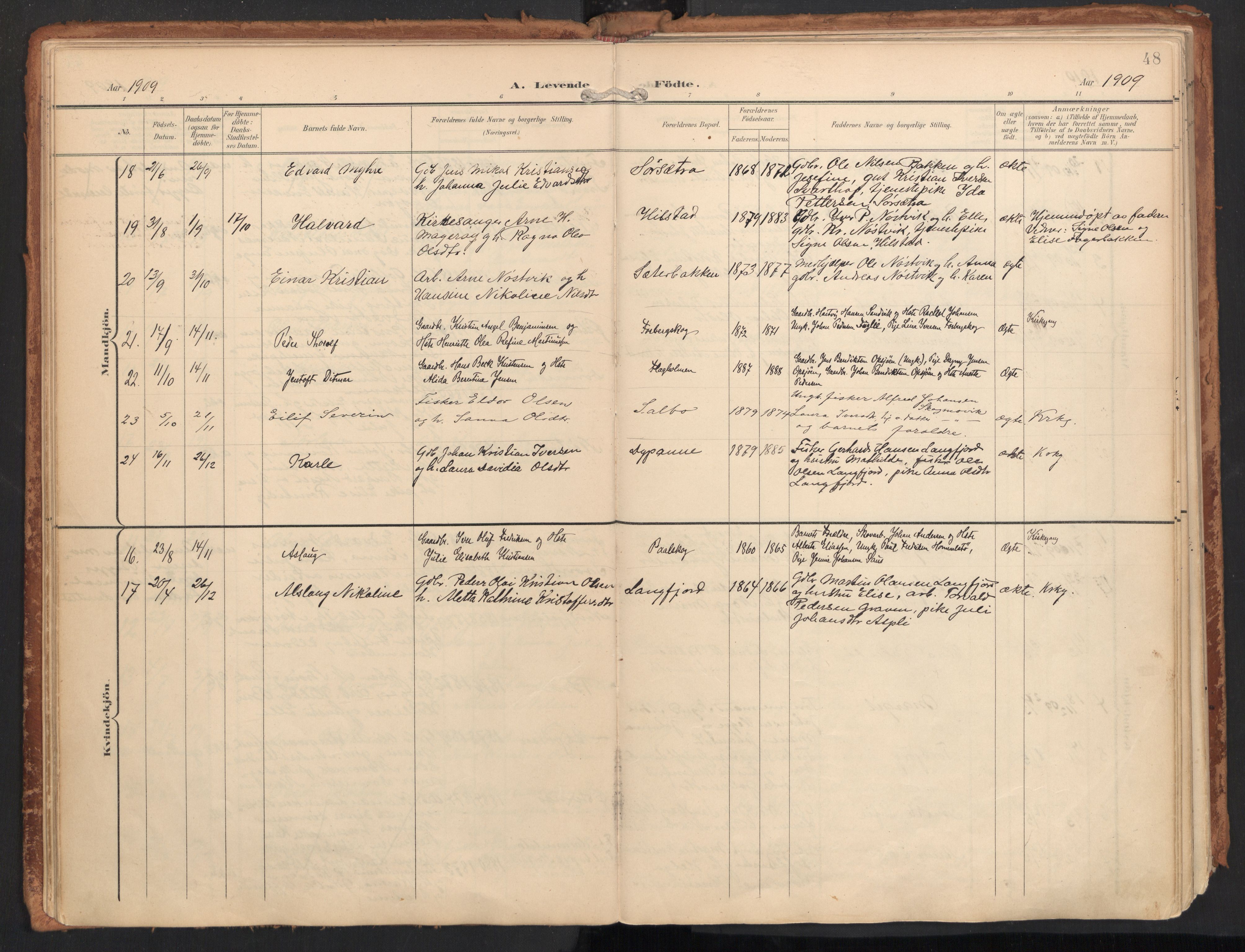 Ministerialprotokoller, klokkerbøker og fødselsregistre - Nordland, AV/SAT-A-1459/814/L0227: Parish register (official) no. 814A08, 1899-1920, p. 48