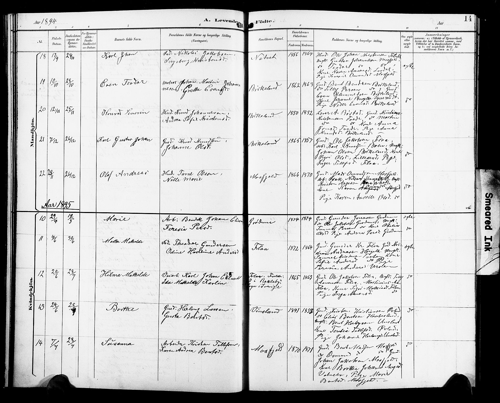 Birkenes sokneprestkontor, AV/SAK-1111-0004/F/Fb/L0004: Parish register (copy) no. B 4, 1893-1930, p. 14