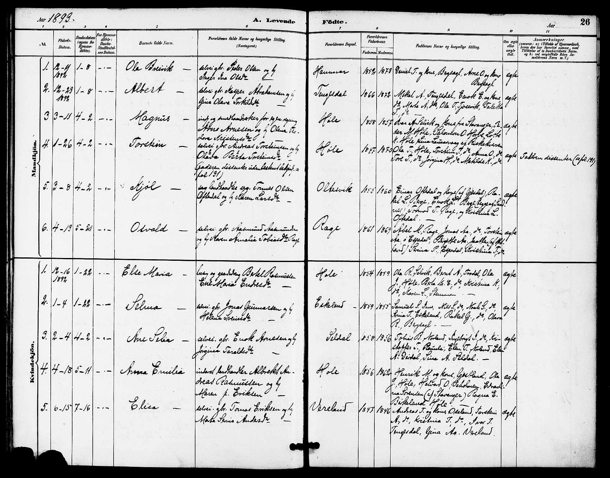 Høgsfjord sokneprestkontor, AV/SAST-A-101624/H/Ha/Haa/L0005: Parish register (official) no. A 5, 1885-1897, p. 26