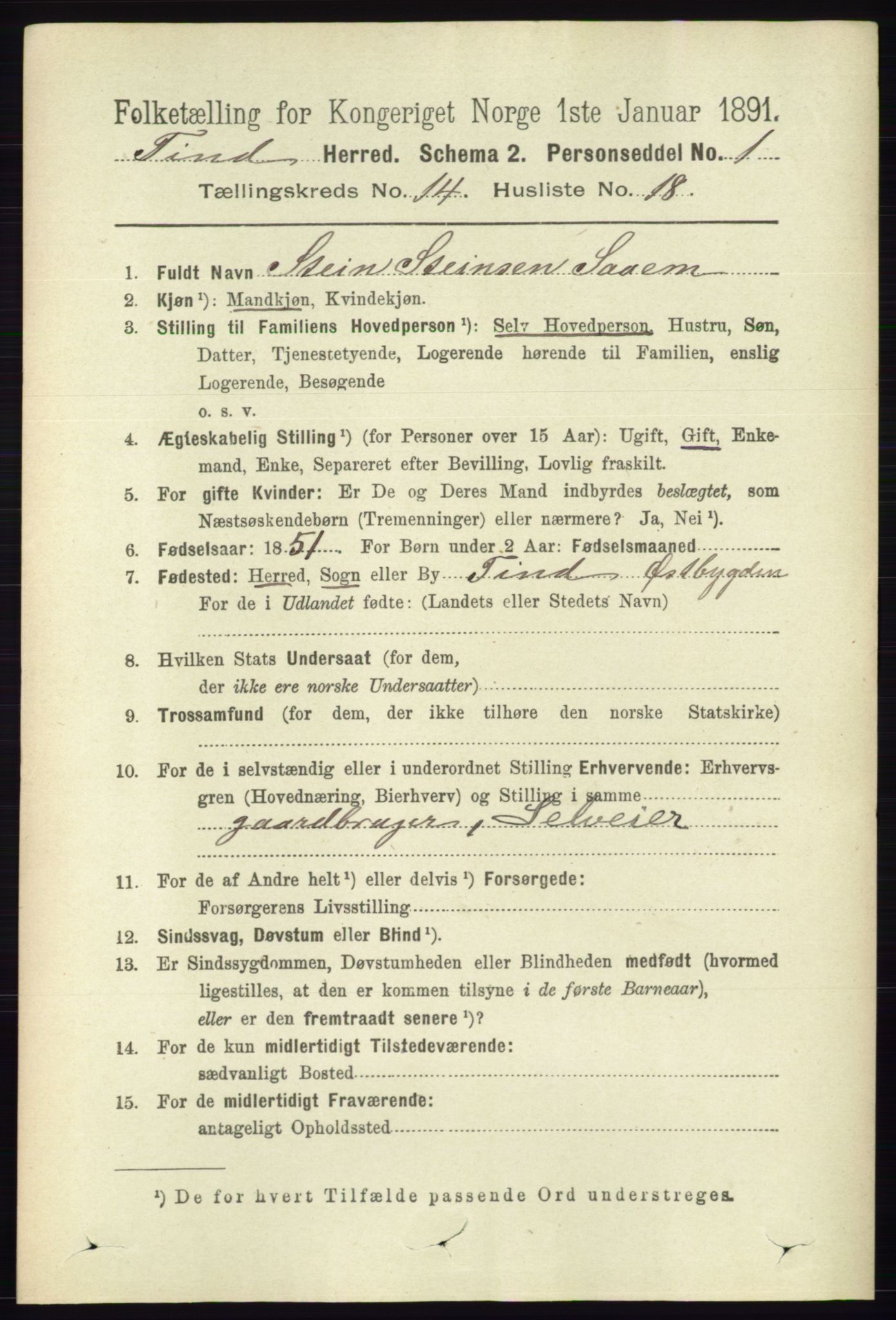 RA, 1891 census for 0826 Tinn, 1891, p. 2952