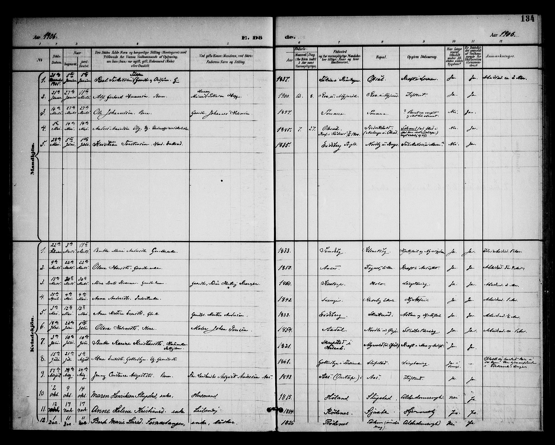 Rødenes prestekontor Kirkebøker, SAO/A-2005/F/Fa/L0011: Parish register (official) no. I 11, 1901-1910, p. 134