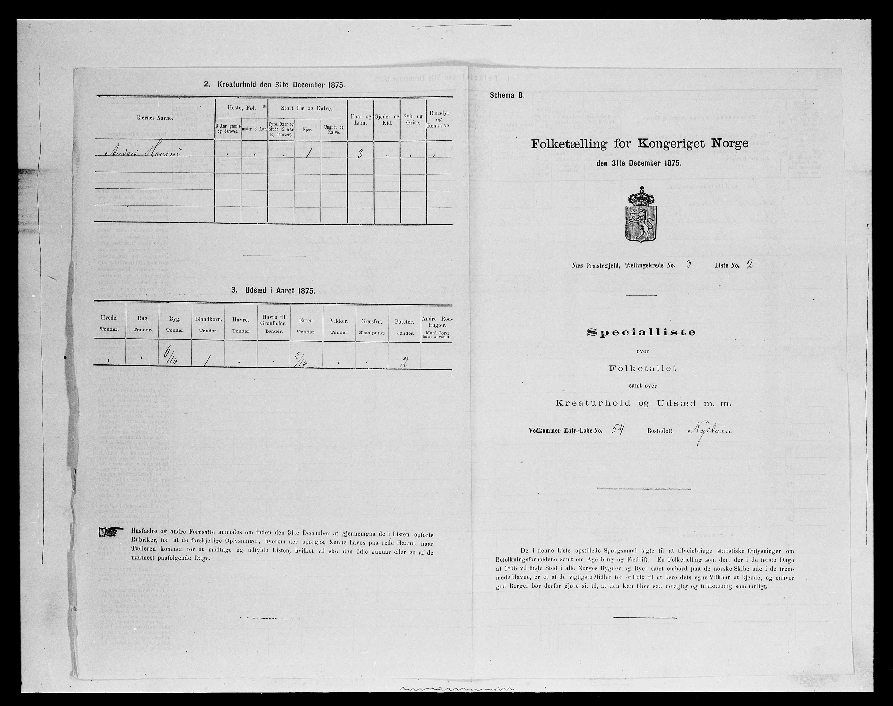 SAH, 1875 census for 0411P Nes, 1875, p. 439