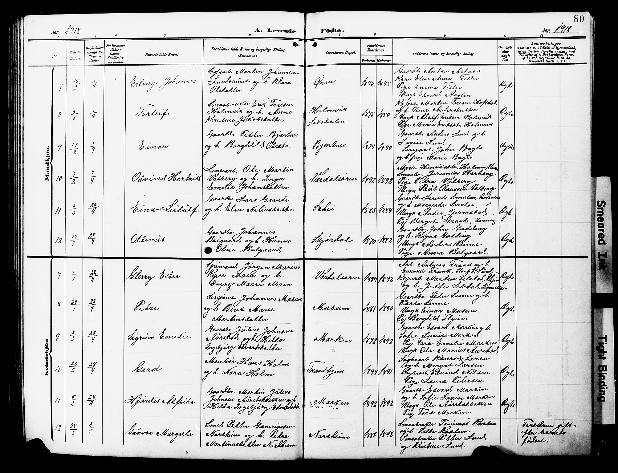 Ministerialprotokoller, klokkerbøker og fødselsregistre - Nord-Trøndelag, AV/SAT-A-1458/723/L0258: Parish register (copy) no. 723C06, 1908-1927, p. 80