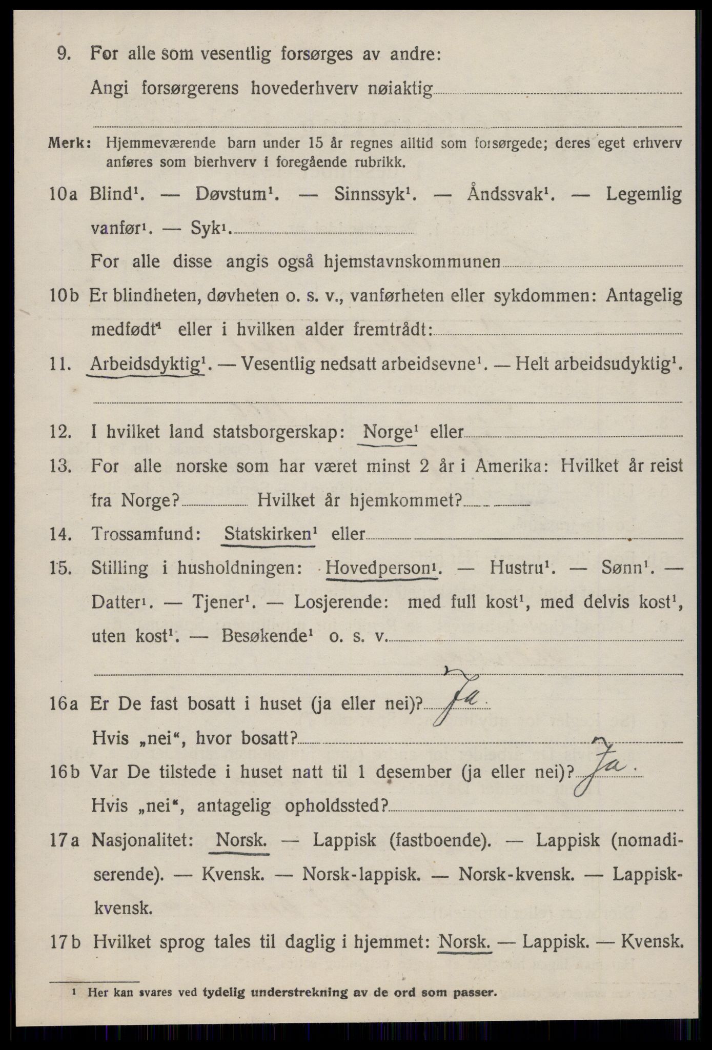 SAT, 1920 census for Horg, 1920, p. 3047