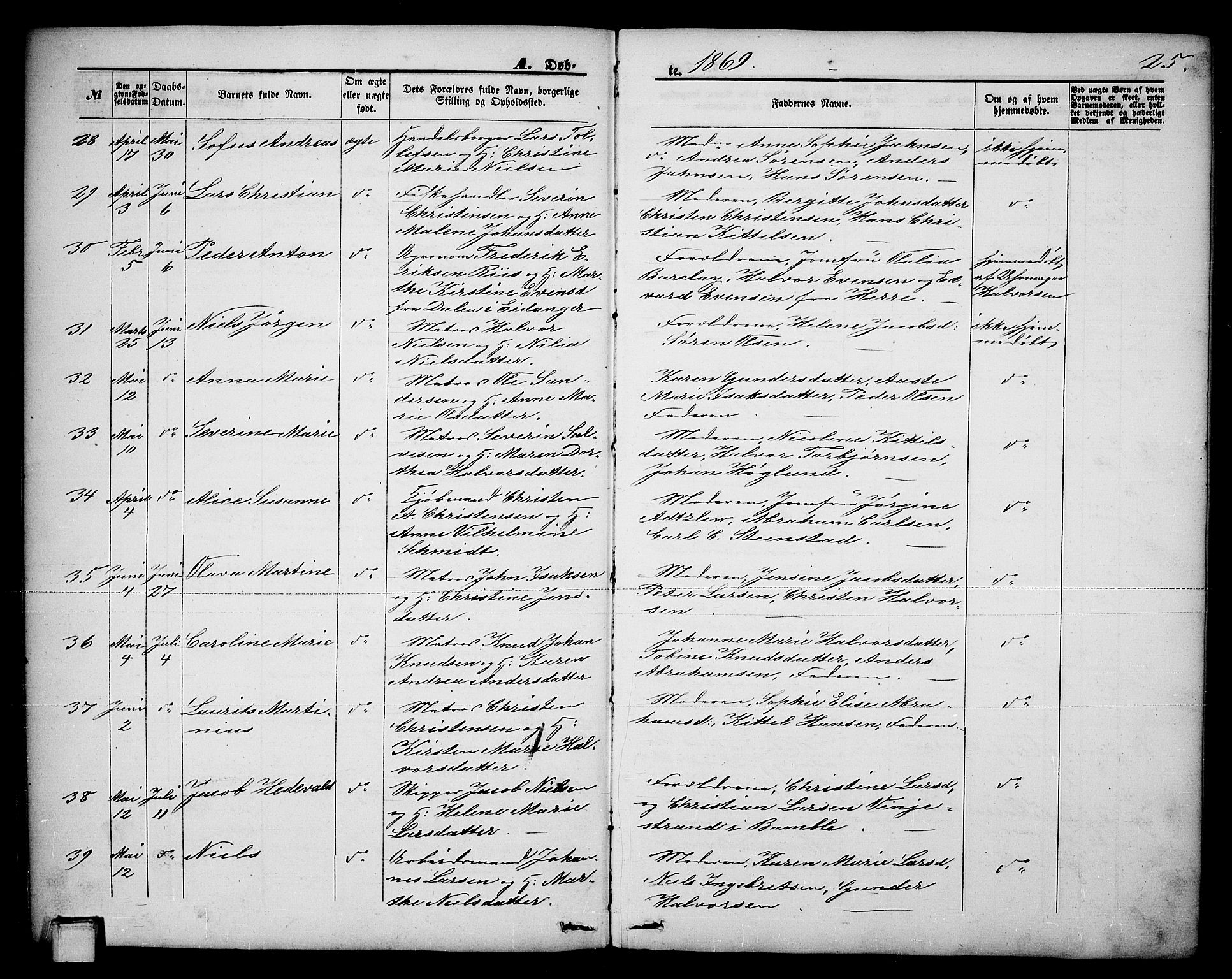 Brevik kirkebøker, AV/SAKO-A-255/G/Ga/L0003: Parish register (copy) no. 3, 1866-1881, p. 25