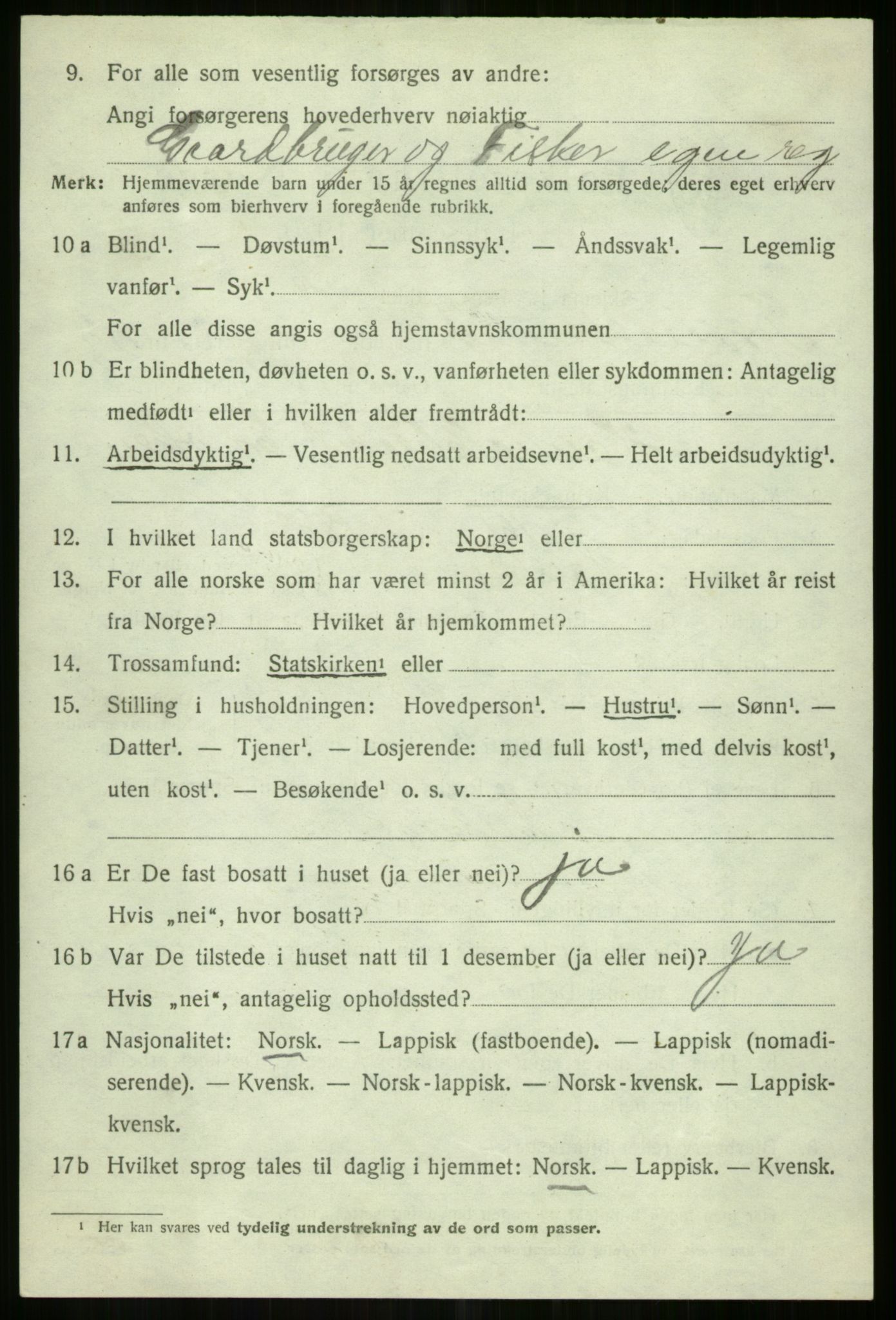 SATØ, 1920 census for Tromsøysund, 1920, p. 12185