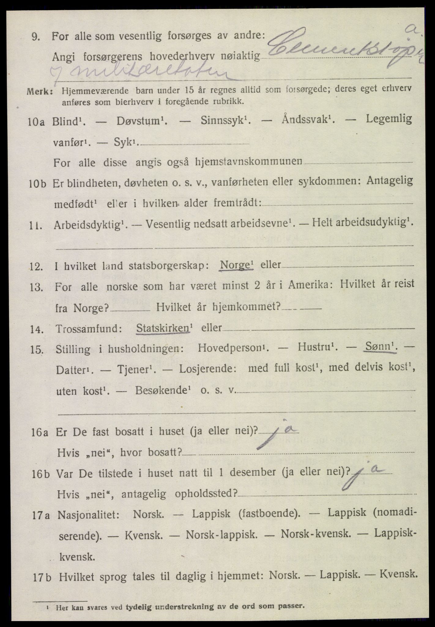 SAT, 1920 census for Stjørdal, 1920, p. 6915