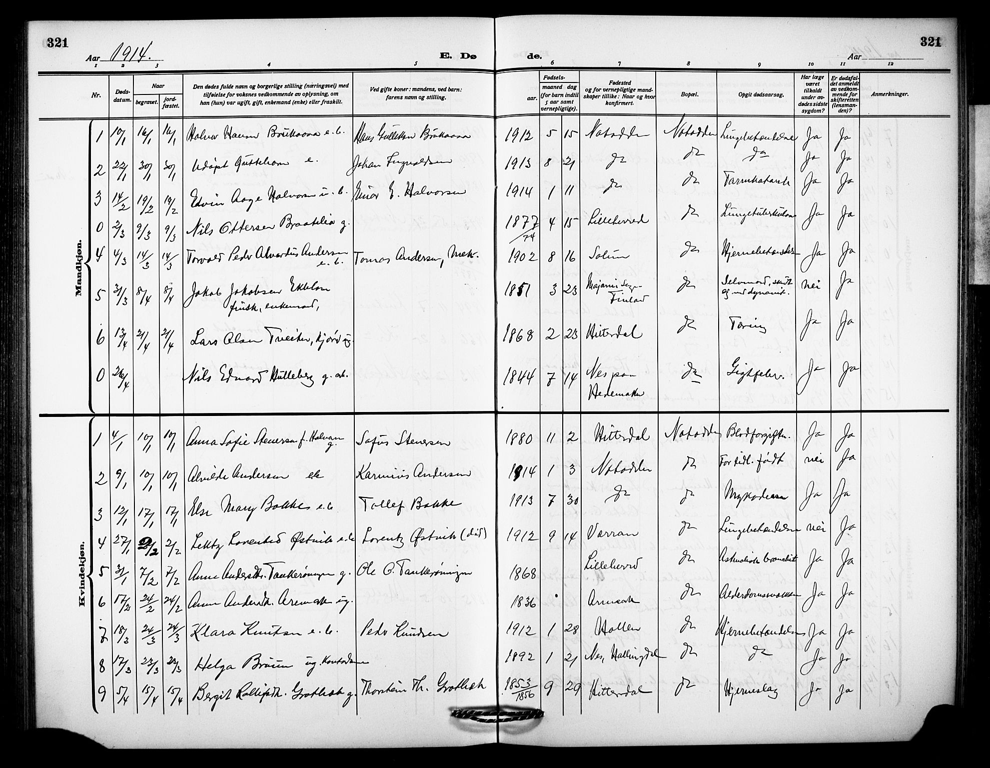 Notodden kirkebøker, SAKO/A-290/G/Ga/L0001: Parish register (copy) no. 1, 1912-1923, p. 321