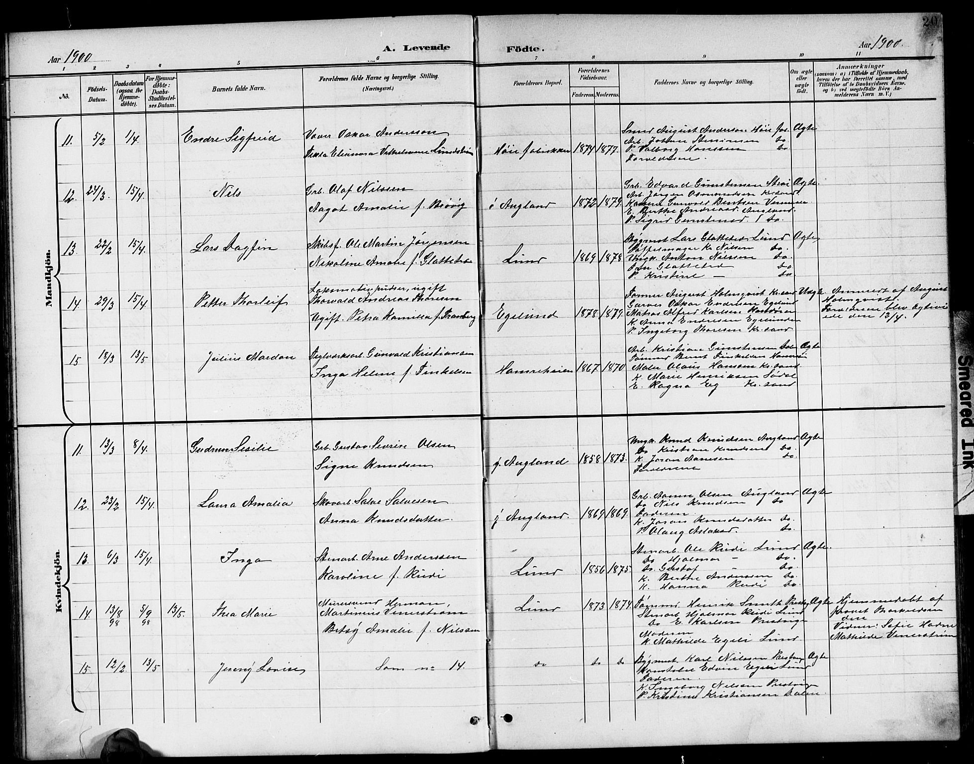 Oddernes sokneprestkontor, AV/SAK-1111-0033/F/Fb/Fba/L0009: Parish register (copy) no. B 9, 1899-1923, p. 20