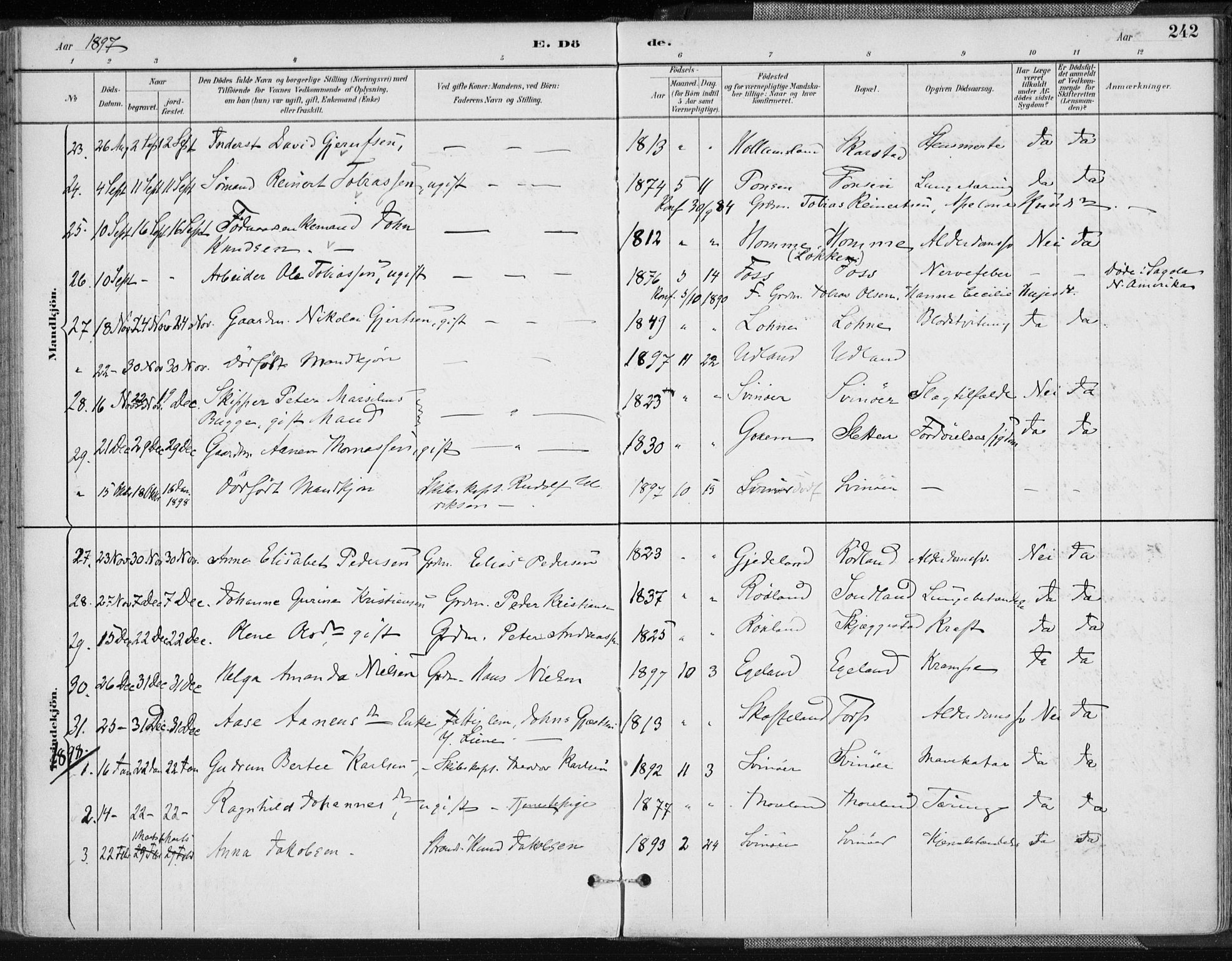 Sør-Audnedal sokneprestkontor, AV/SAK-1111-0039/F/Fa/Fab/L0010: Parish register (official) no. A 10, 1892-1913, p. 242