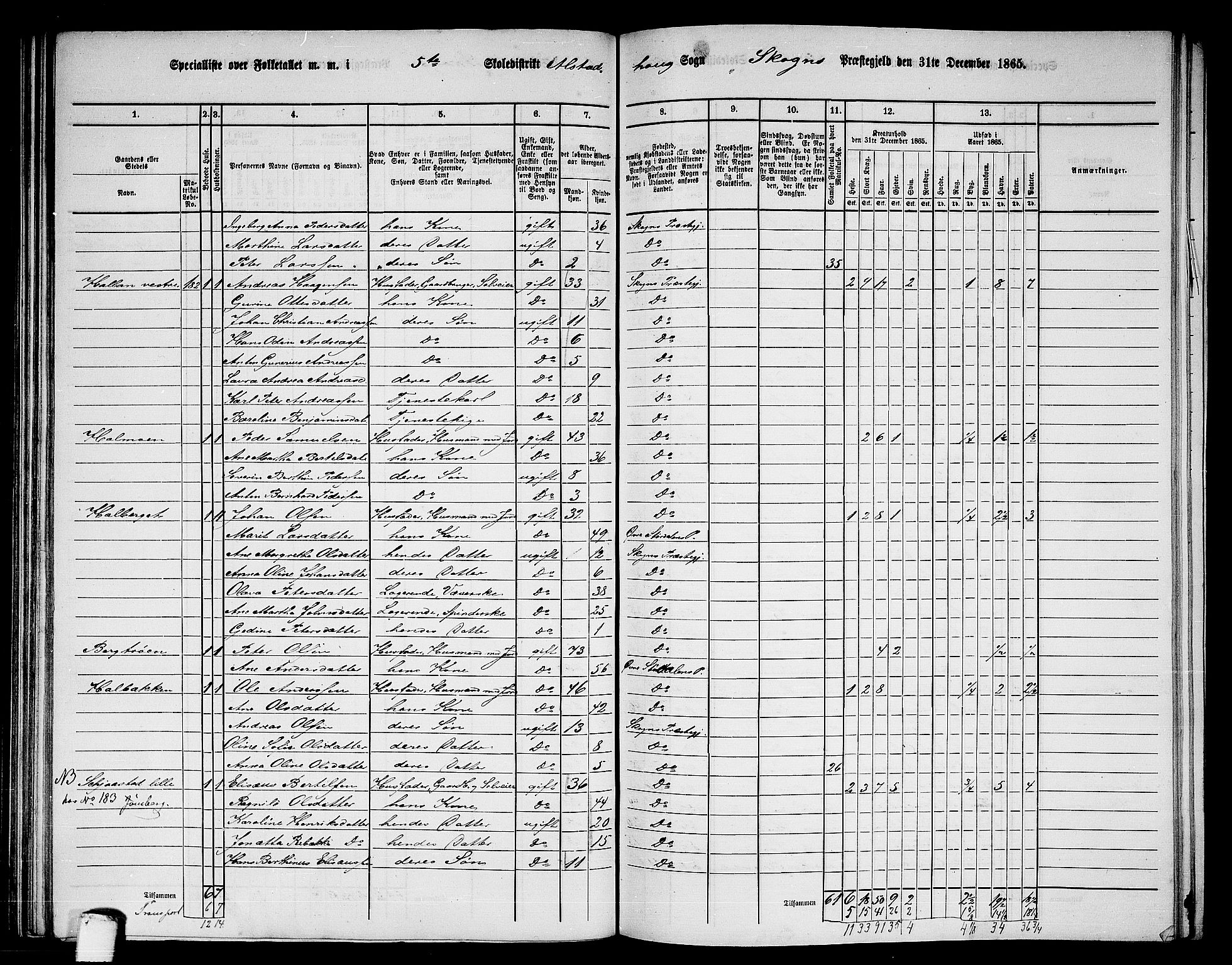 RA, 1865 census for Skogn, 1865, p. 118