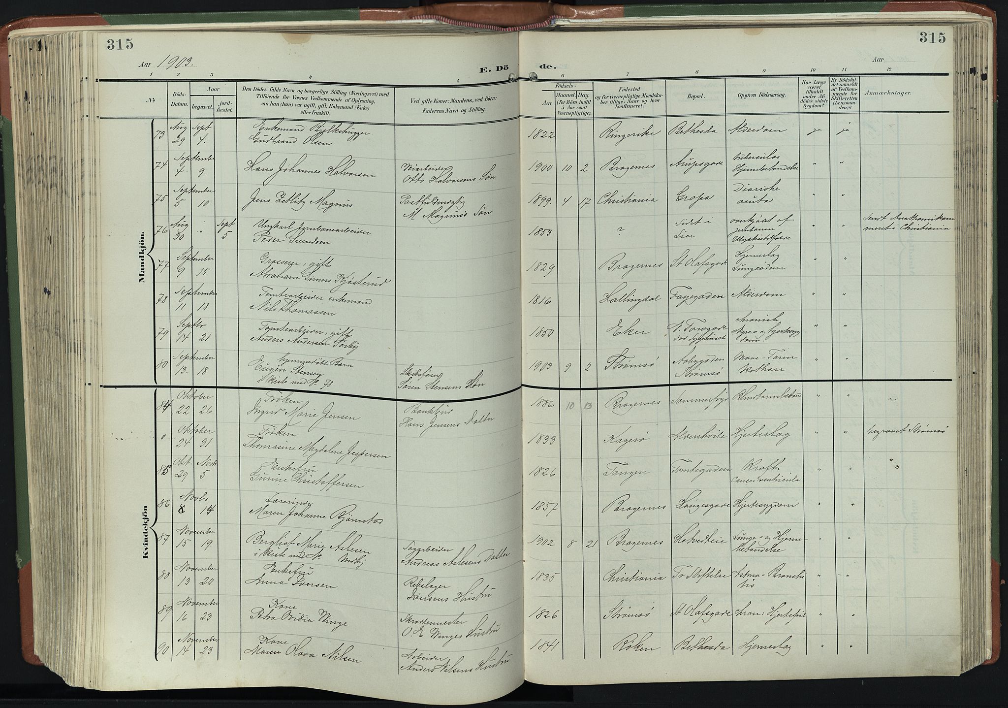 Bragernes kirkebøker, AV/SAKO-A-6/F/Fb/L0009: Parish register (official) no. II 9, 1902-1911, p. 315