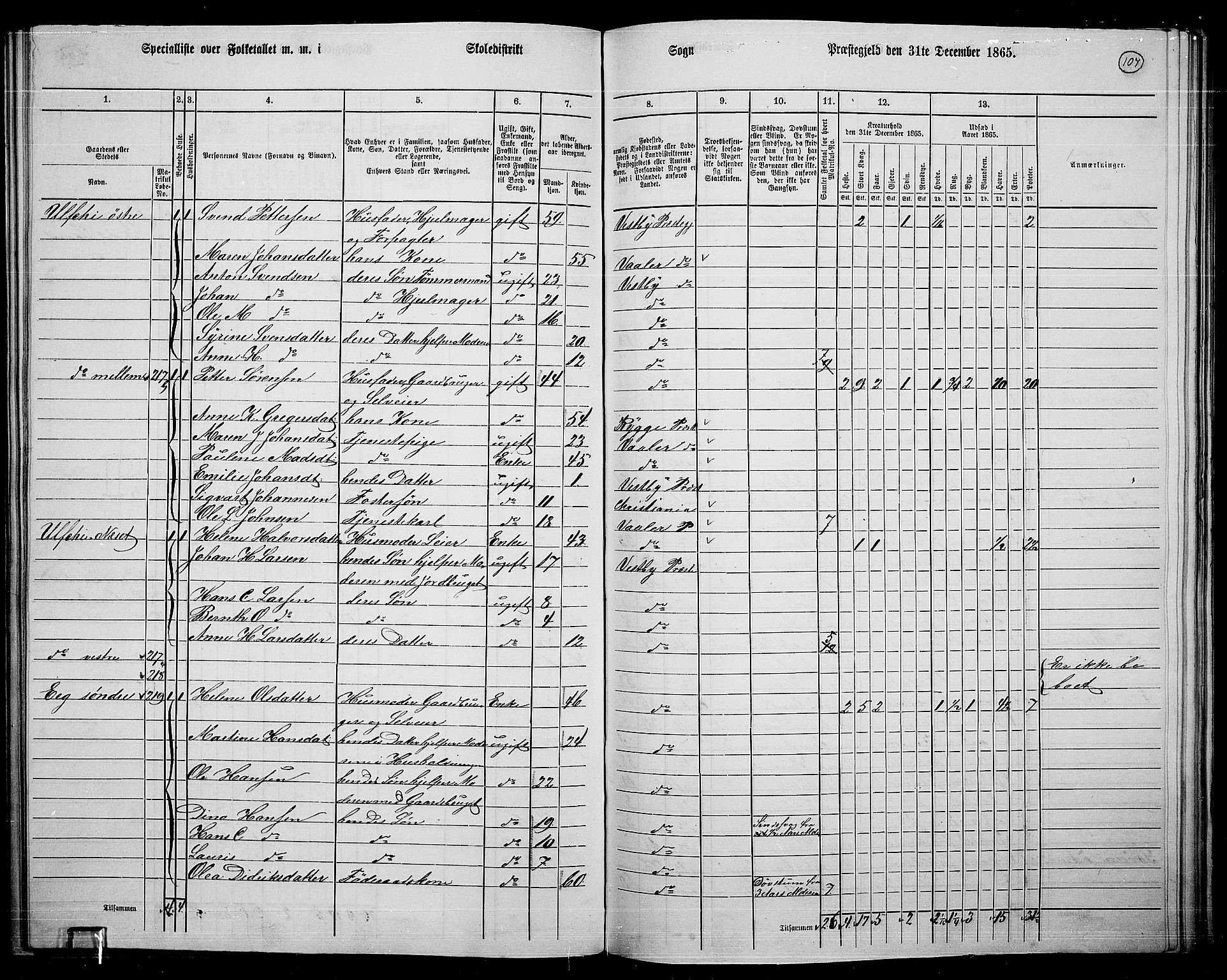 RA, 1865 census for Vestby, 1865, p. 101