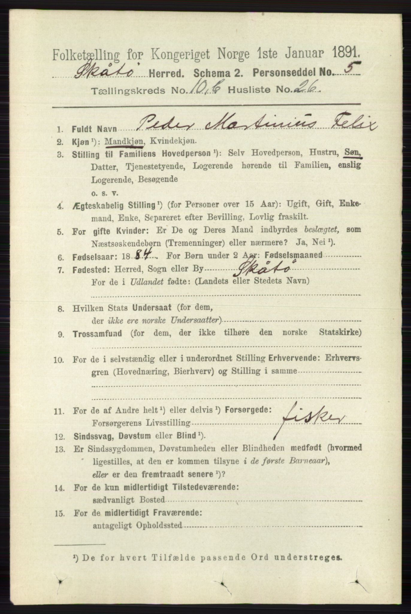 RA, 1891 census for 0815 Skåtøy, 1891, p. 4197