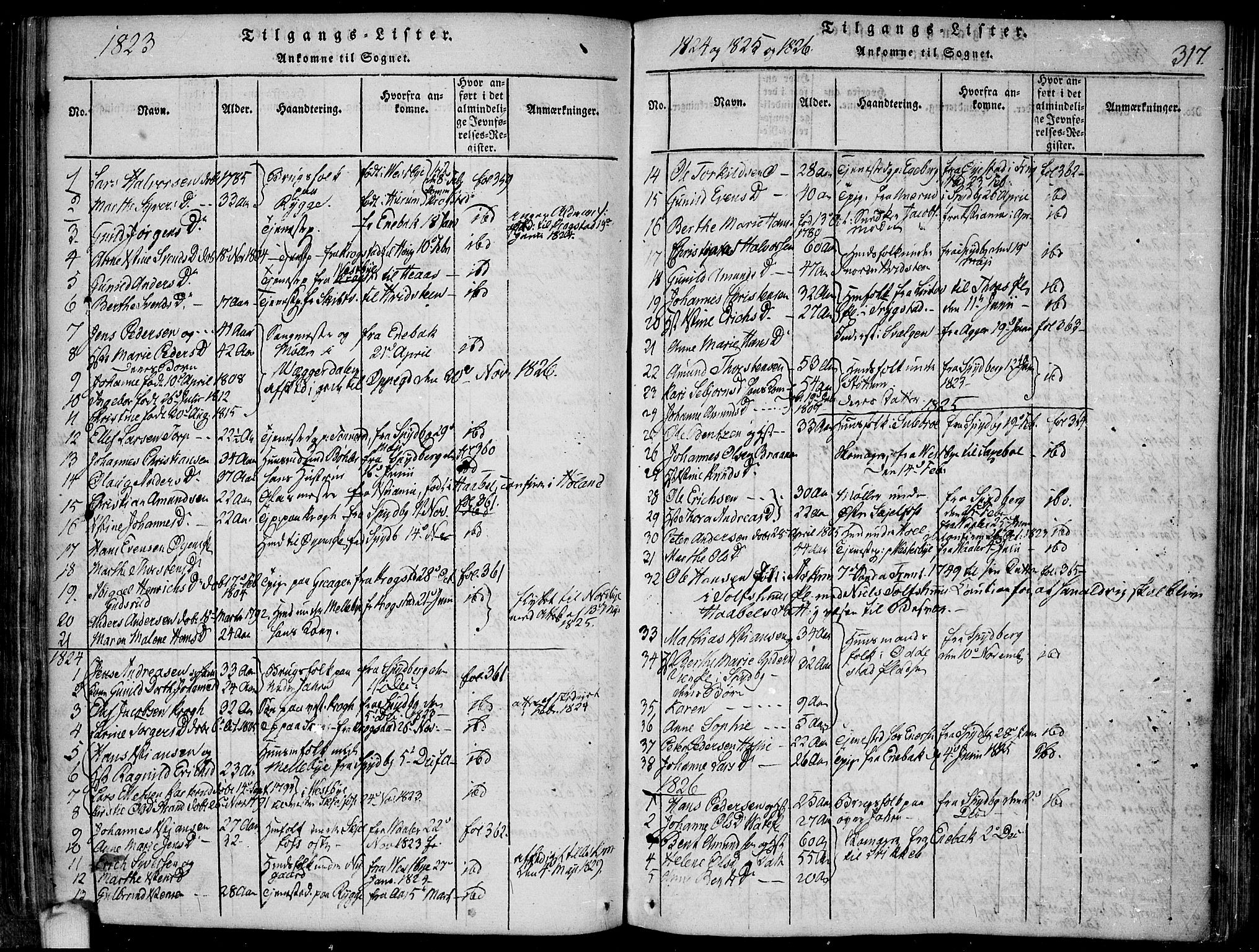Hobøl prestekontor Kirkebøker, SAO/A-2002/F/Fa/L0002: Parish register (official) no. I 2, 1814-1841, p. 317
