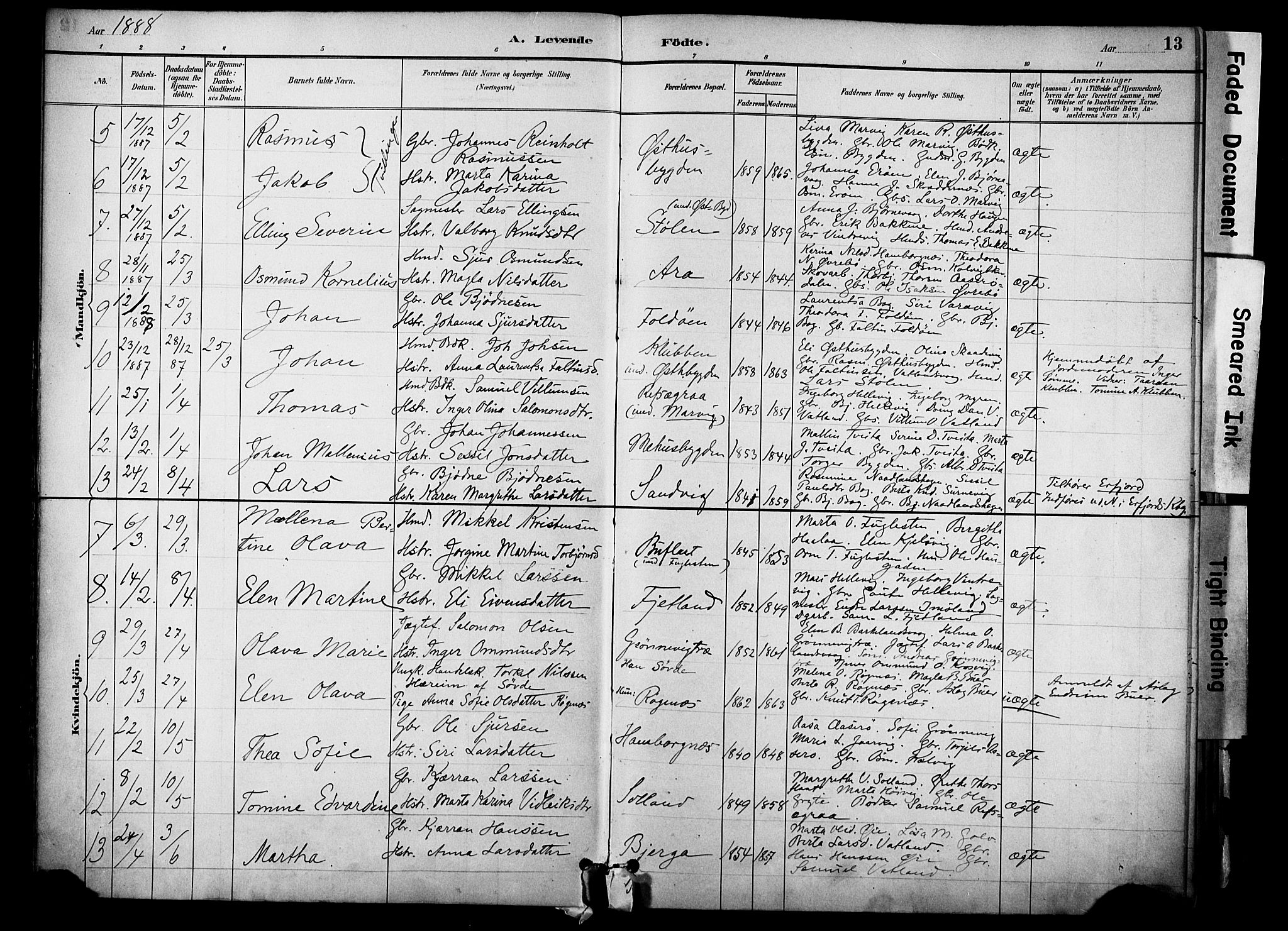 Jelsa sokneprestkontor, AV/SAST-A-101842/01/IV: Parish register (official) no. A 10, 1884-1906, p. 13