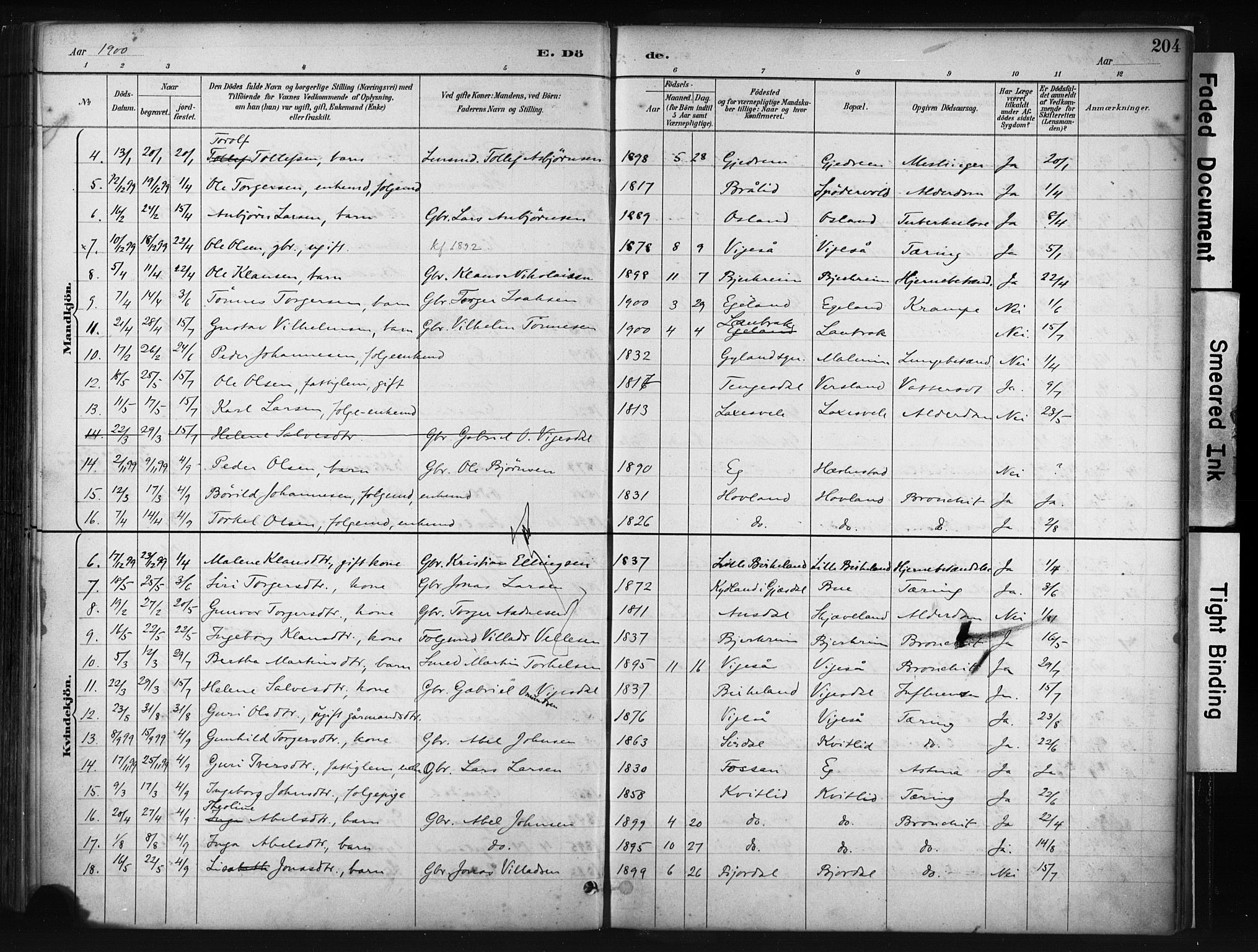 Helleland sokneprestkontor, AV/SAST-A-101810: Parish register (official) no. A 9, 1887-1908, p. 204