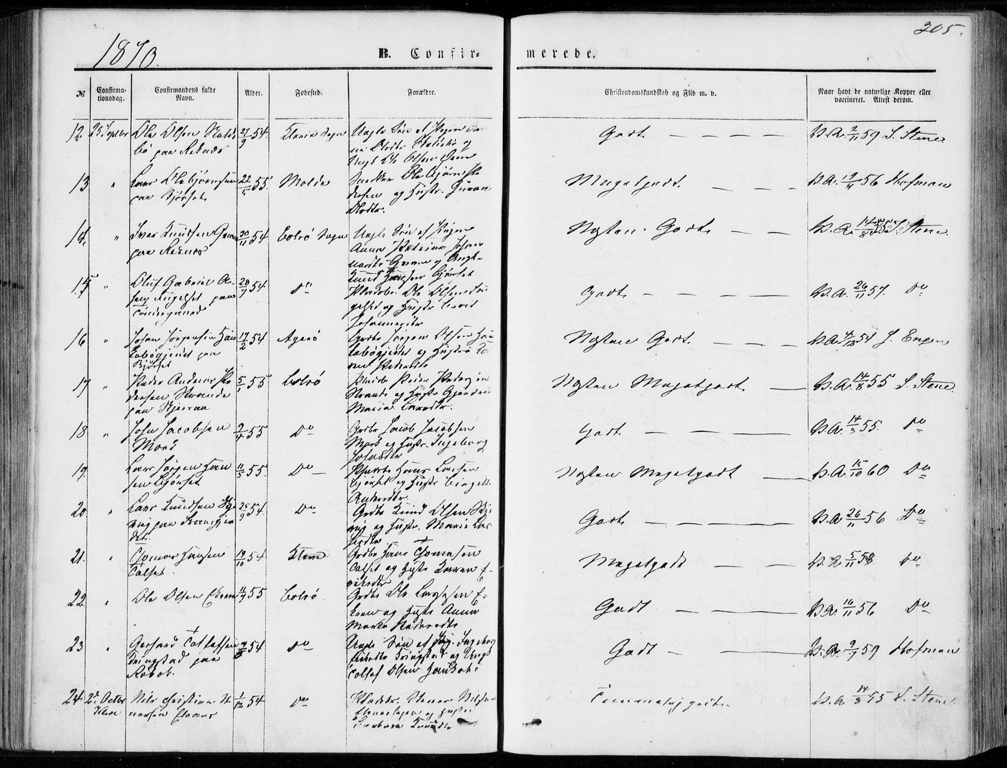 Ministerialprotokoller, klokkerbøker og fødselsregistre - Møre og Romsdal, SAT/A-1454/555/L0655: Parish register (official) no. 555A05, 1869-1886, p. 205