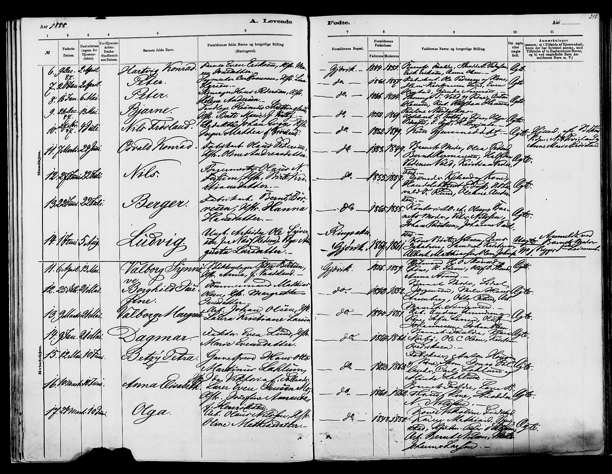 Vardal prestekontor, SAH/PREST-100/H/Ha/Haa/L0008: Parish register (official) no. 8, 1878-1890, p. 248