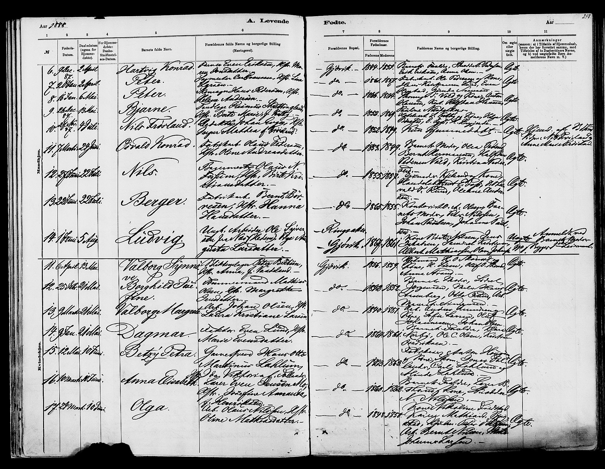 Vardal prestekontor, AV/SAH-PREST-100/H/Ha/Haa/L0008: Parish register (official) no. 8, 1878-1890, p. 248