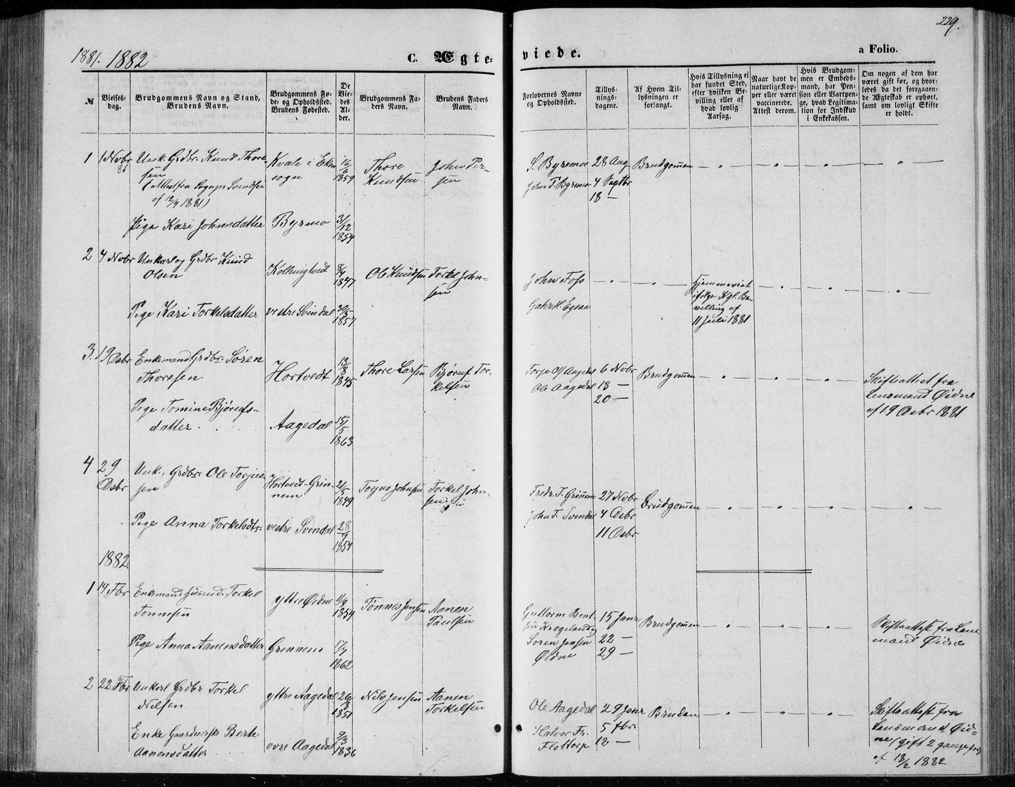 Bjelland sokneprestkontor, SAK/1111-0005/F/Fb/Fbc/L0002: Parish register (copy) no. B 2, 1867-1887, p. 229