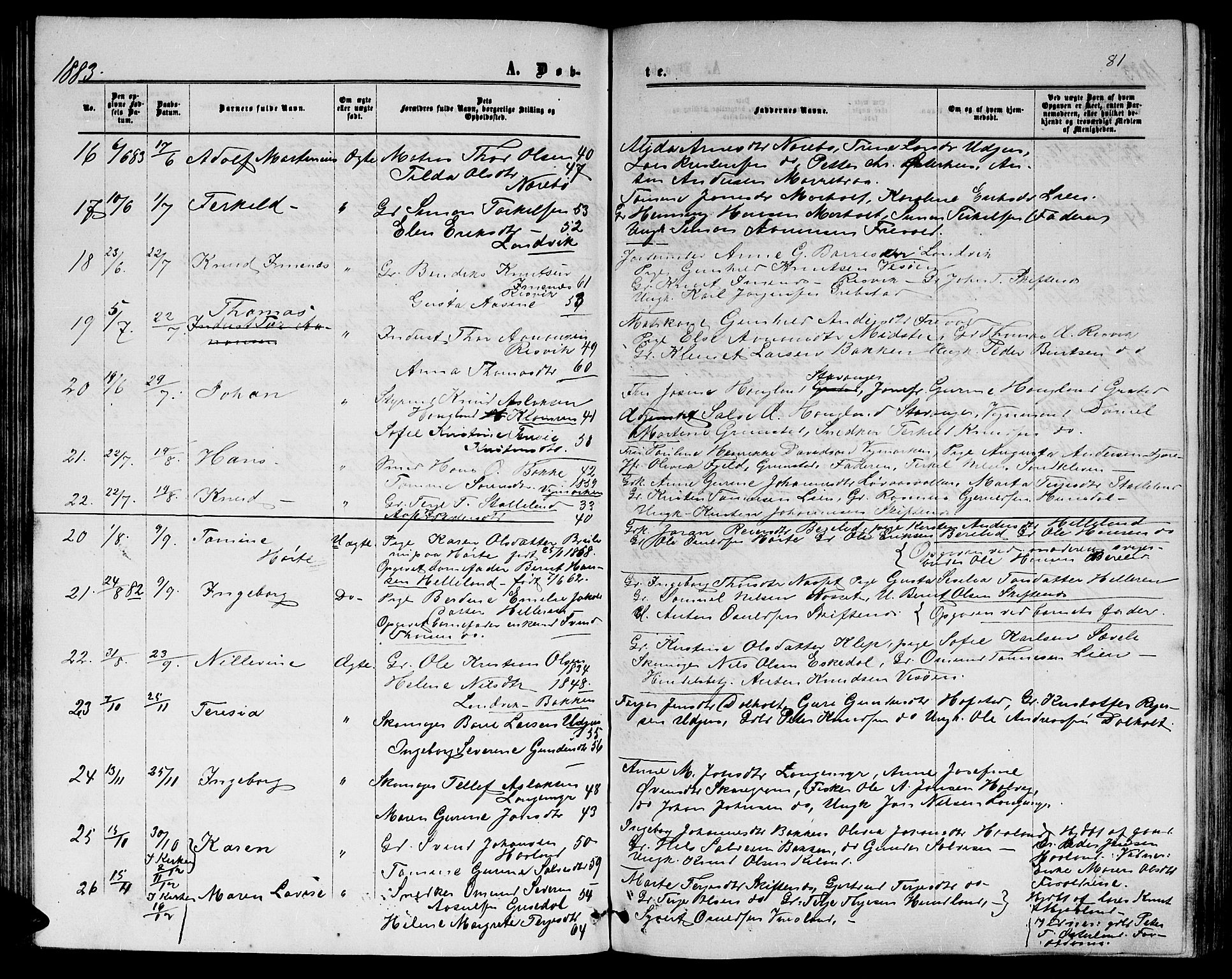 Hommedal sokneprestkontor, SAK/1111-0023/F/Fb/Fbb/L0006: Parish register (copy) no. B 6, 1869-1884, p. 81