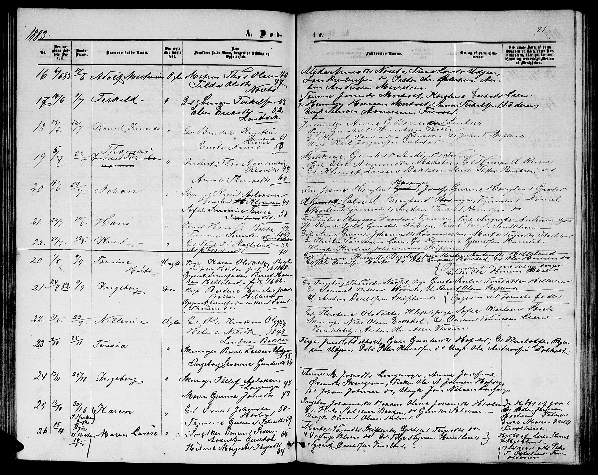 Hommedal sokneprestkontor, AV/SAK-1111-0023/F/Fb/Fbb/L0006: Parish register (copy) no. B 6, 1869-1884, p. 81
