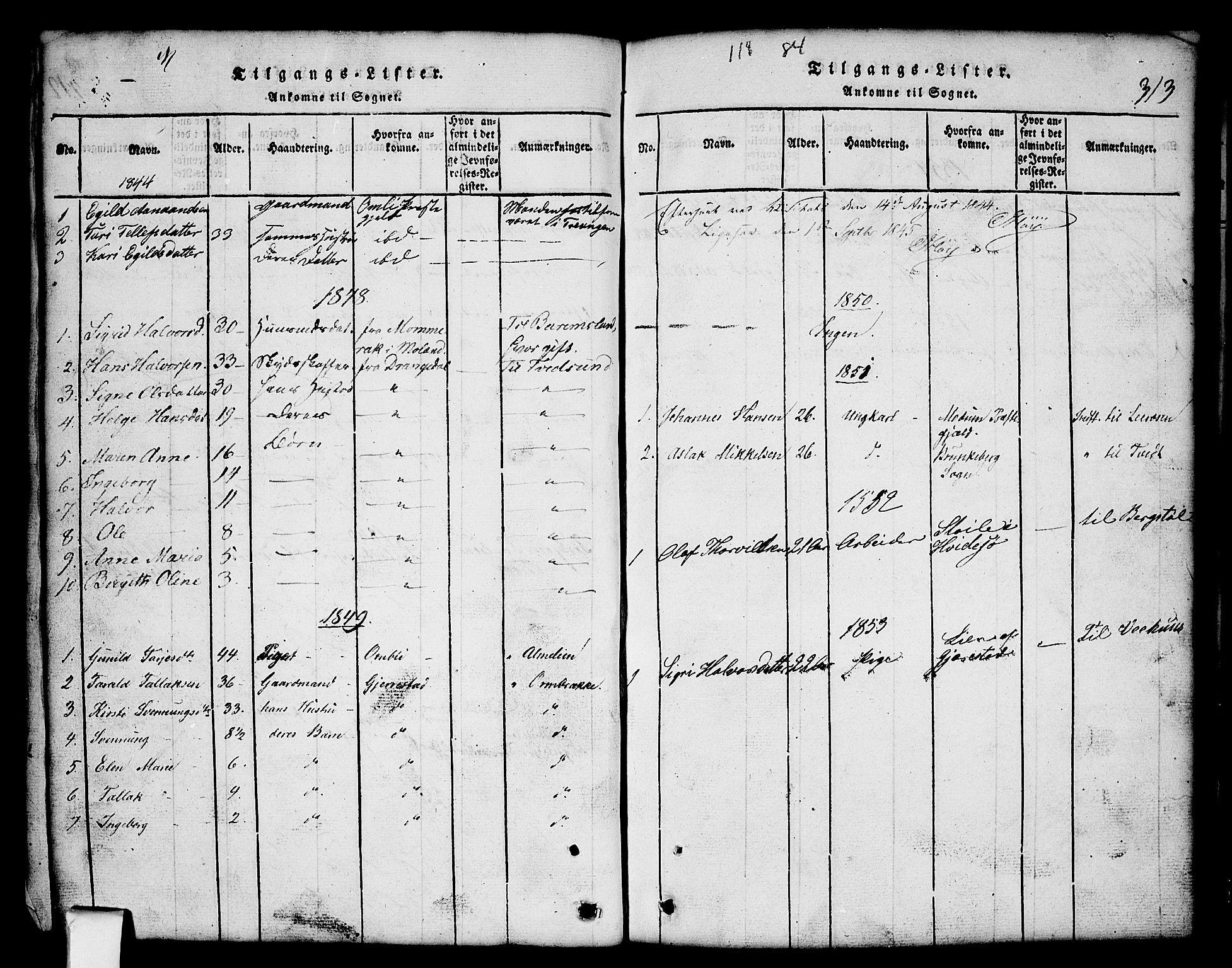 Nissedal kirkebøker, SAKO/A-288/G/Gb/L0001: Parish register (copy) no. II 1, 1814-1862, p. 313