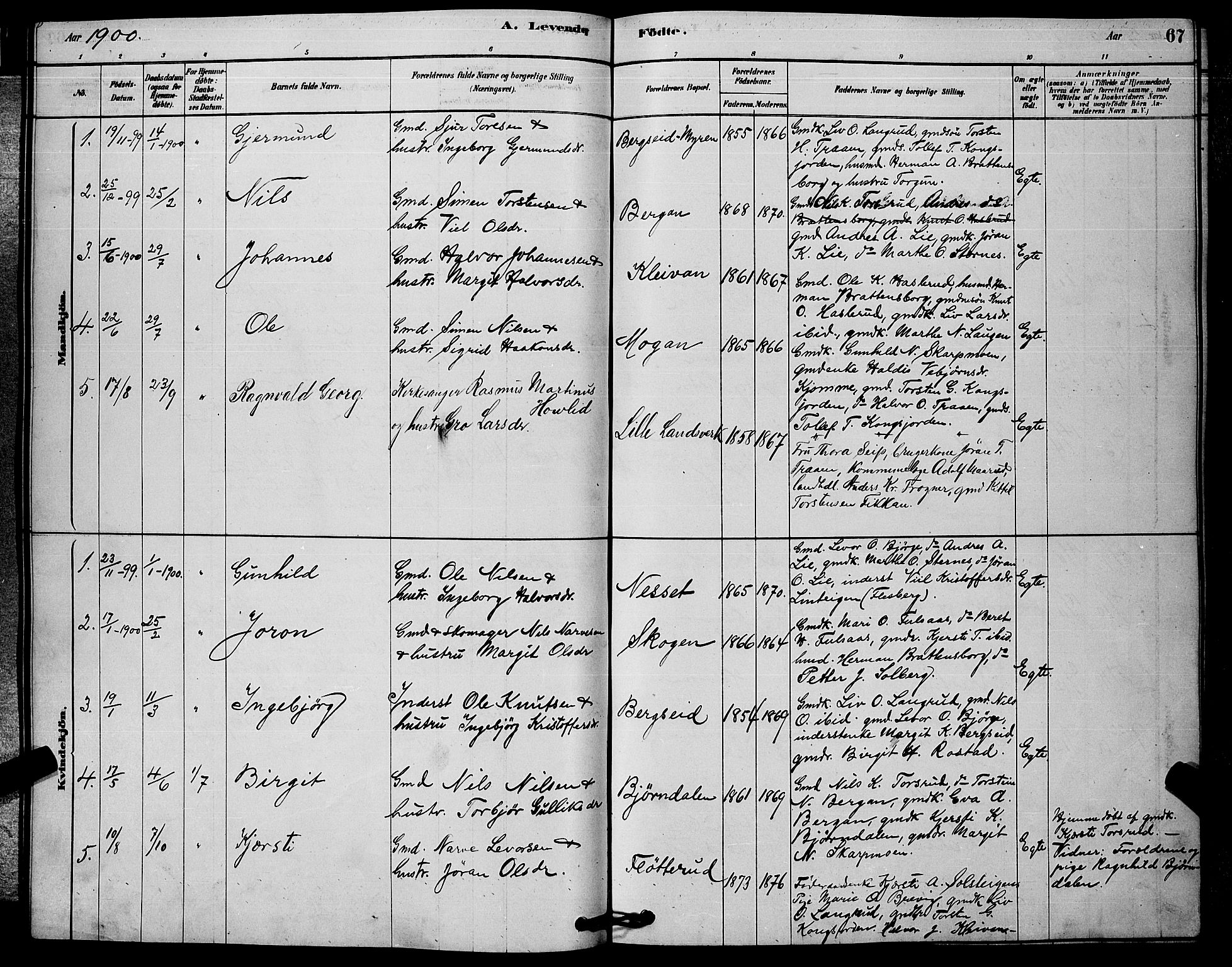 Rollag kirkebøker, SAKO/A-240/G/Ga/L0004: Parish register (copy) no. I 4, 1878-1903, p. 67