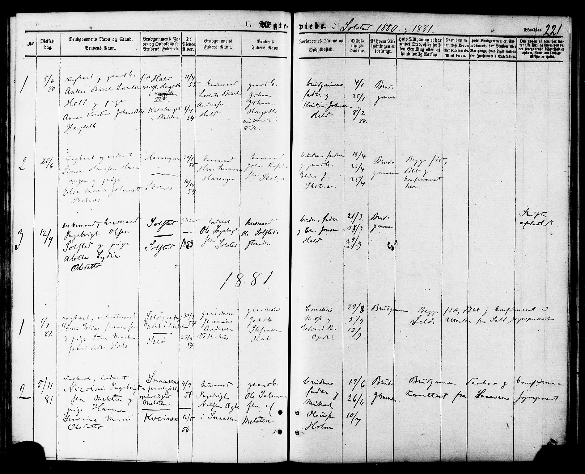 Ministerialprotokoller, klokkerbøker og fødselsregistre - Nordland, AV/SAT-A-1459/810/L0149: Parish register (official) no. 810A09 /2, 1874-1884, p. 221