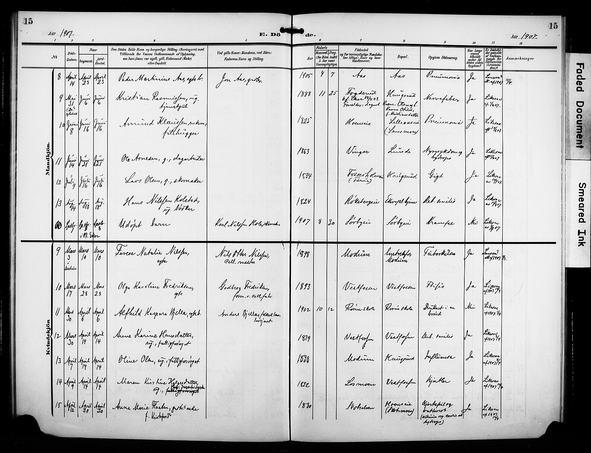 Eiker kirkebøker, AV/SAKO-A-4/F/Fb/L0004: Parish register (official) no. II 4, 1905-1914, p. 15