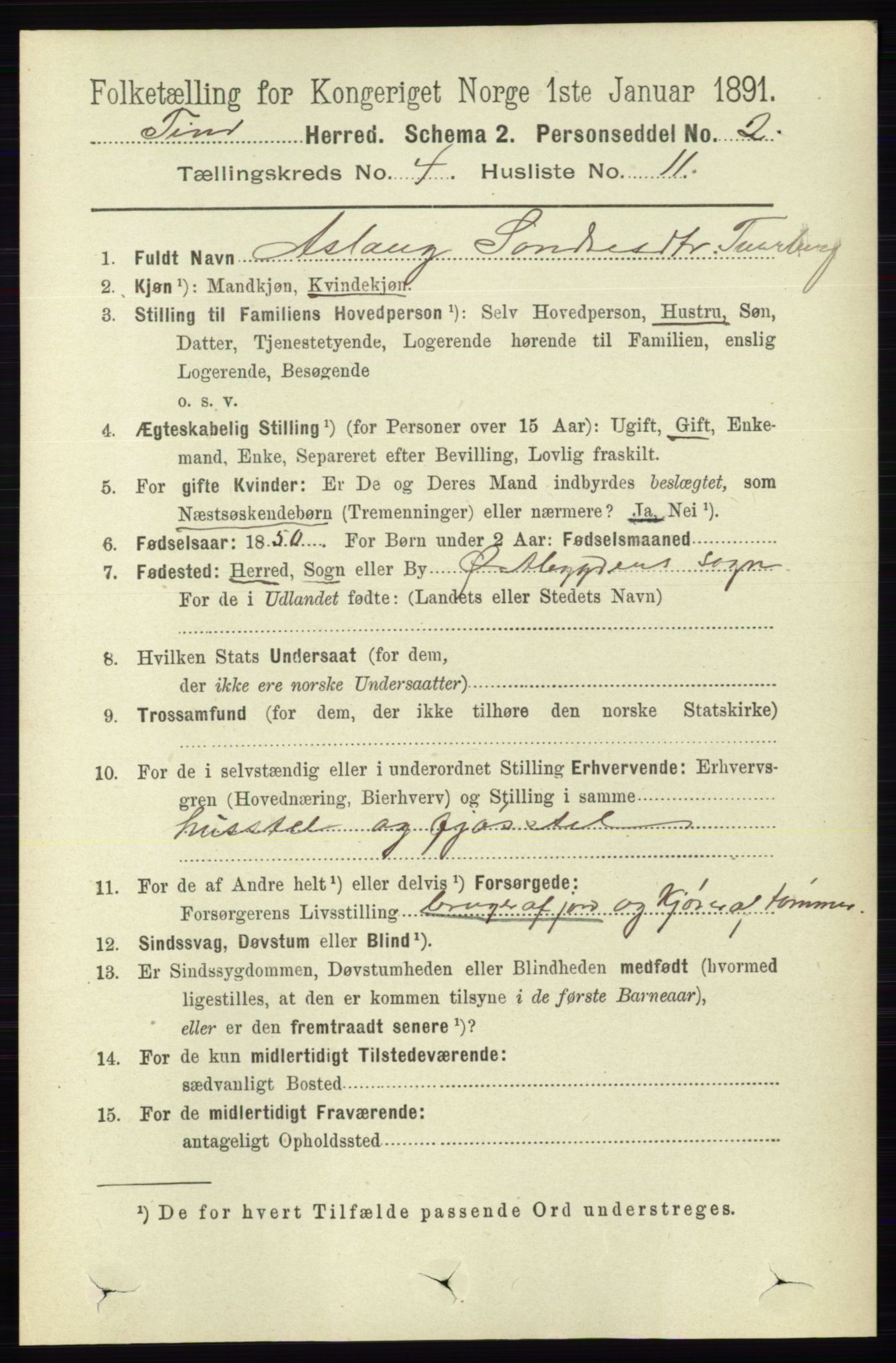 RA, 1891 census for 0826 Tinn, 1891, p. 784