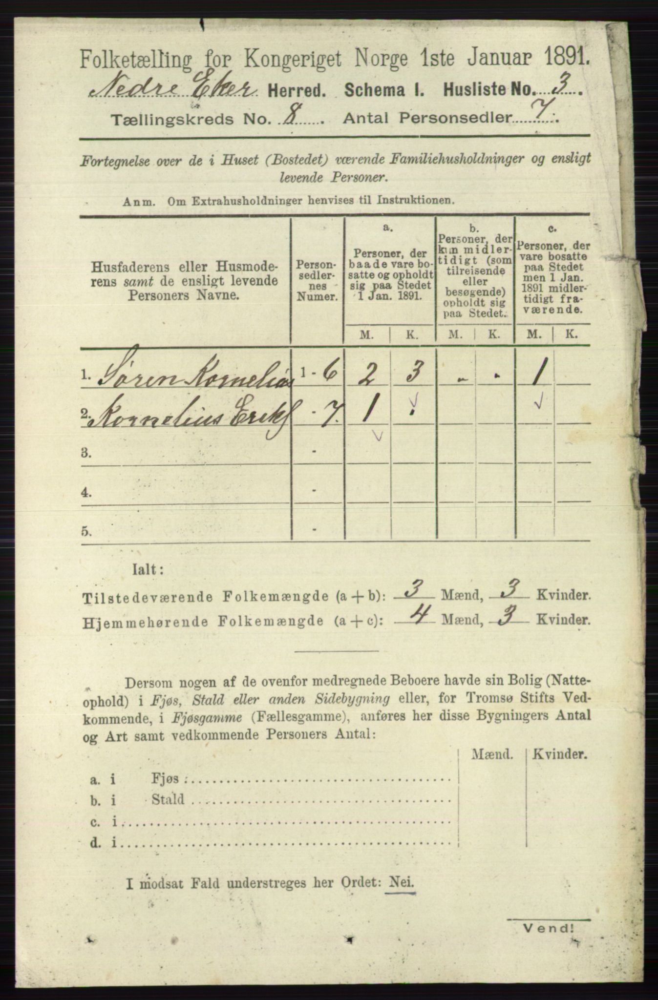 RA, 1891 census for 0625 Nedre Eiker, 1891, p. 3899