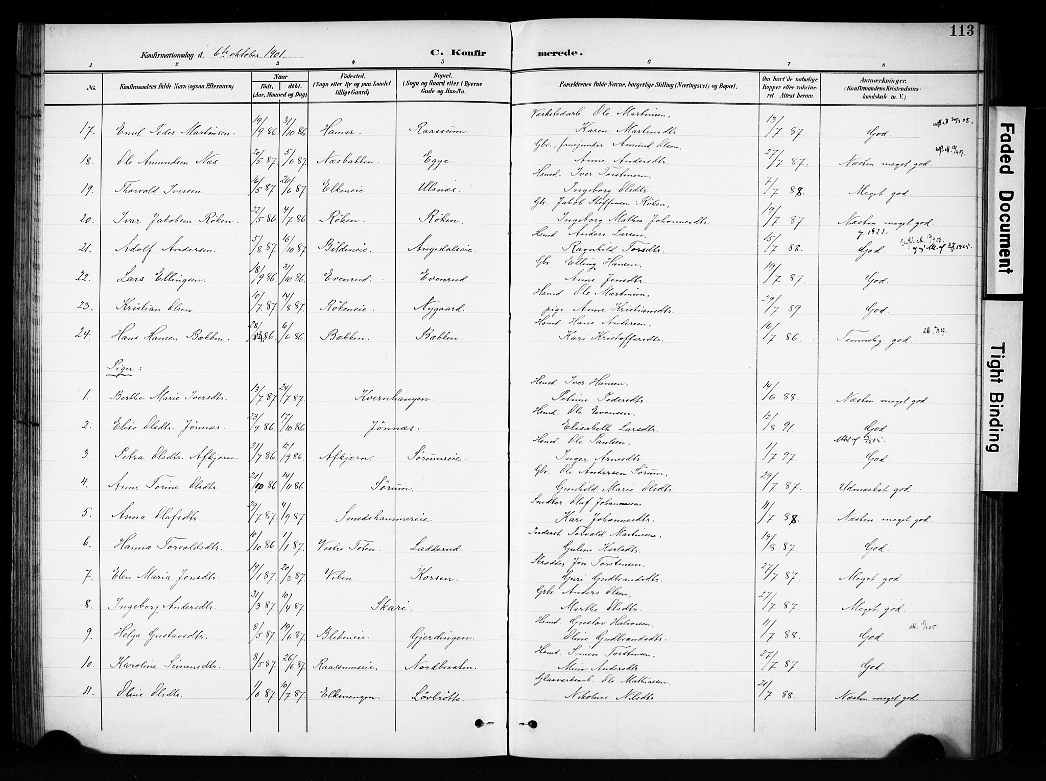 Brandbu prestekontor, SAH/PREST-114/H/Ha/Haa/L0001: Parish register (official) no. 1, 1900-1912, p. 113