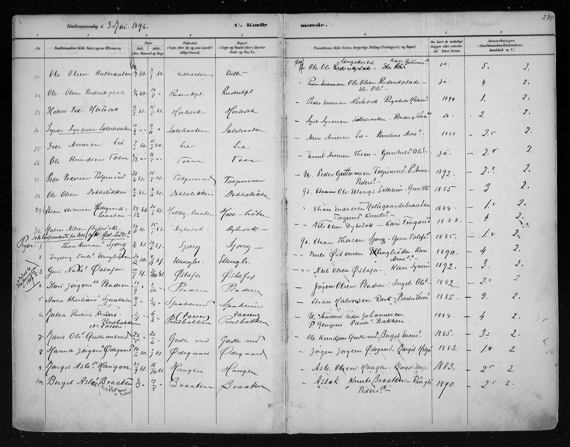 Nes kirkebøker, AV/SAKO-A-236/F/Fa/L0011: Parish register (official) no. 11, 1881-1912, p. 234