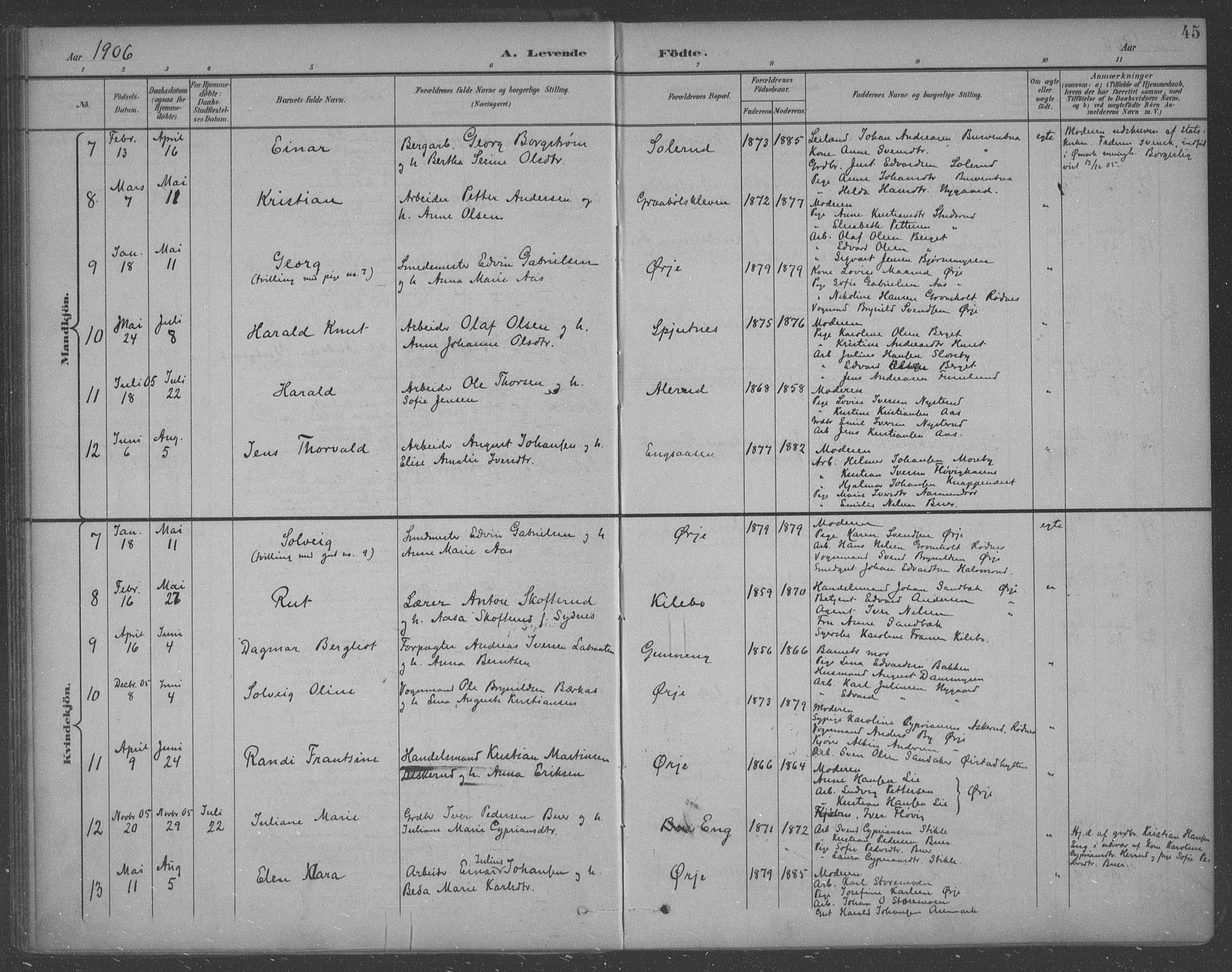Aremark prestekontor Kirkebøker, SAO/A-10899/F/Fb/L0005: Parish register (official) no. II 5, 1895-1919, p. 45