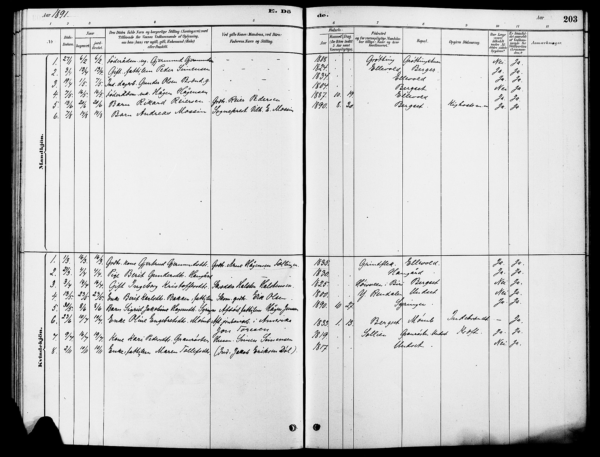 Rendalen prestekontor, SAH/PREST-054/H/Ha/Hab/L0003: Parish register (copy) no. 3, 1879-1904, p. 203