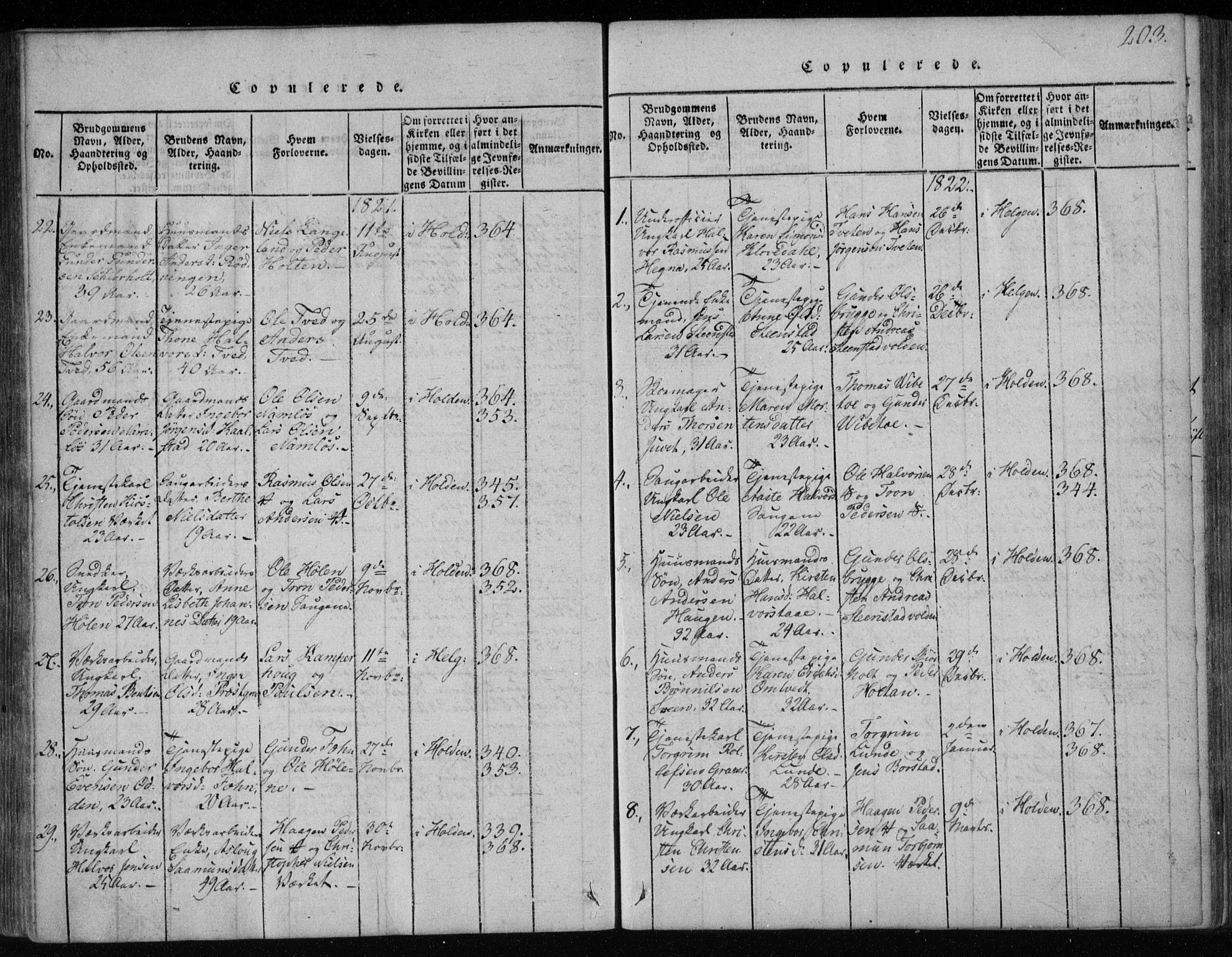 Holla kirkebøker, SAKO/A-272/F/Fa/L0003: Parish register (official) no. 3, 1815-1830, p. 203