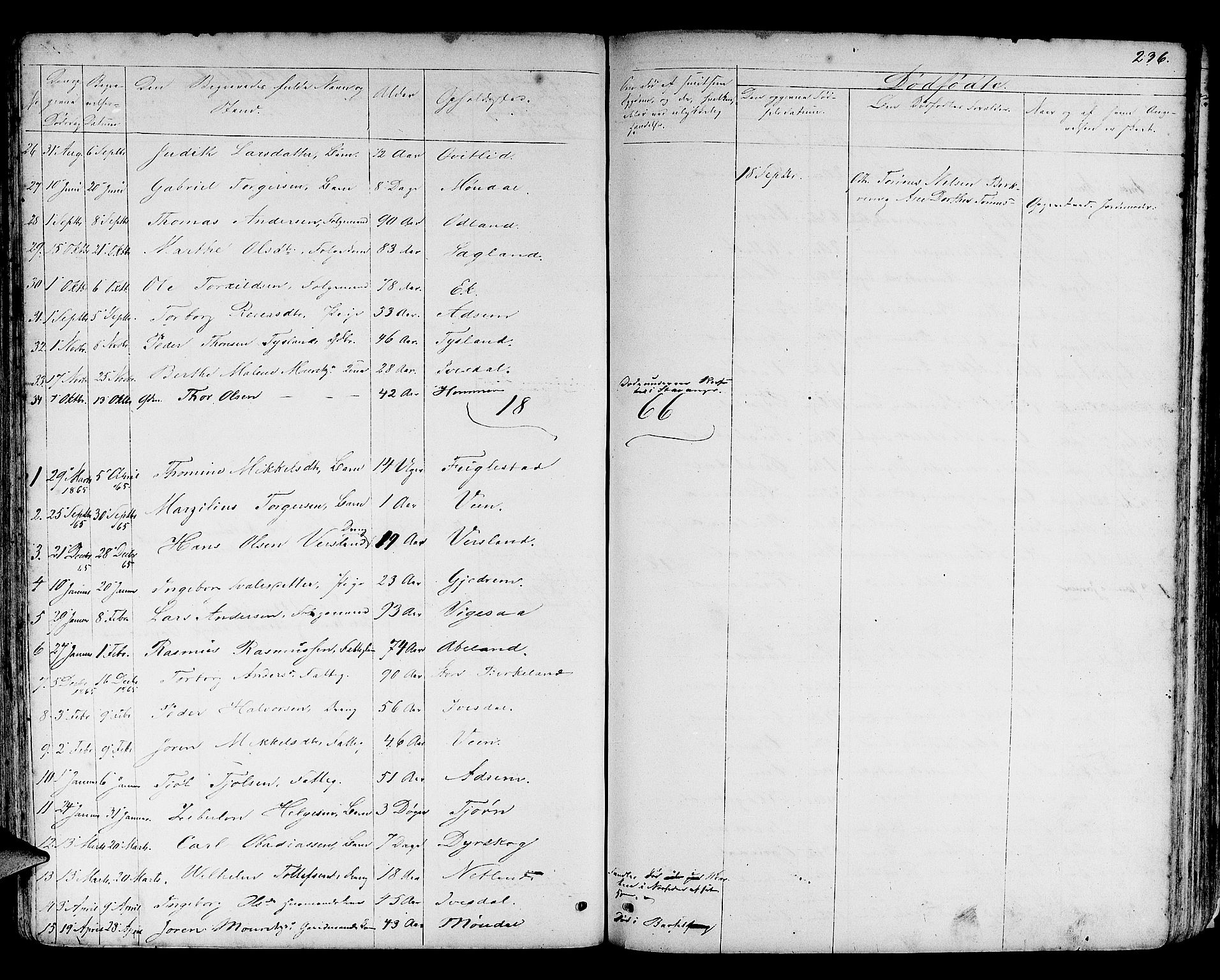 Helleland sokneprestkontor, AV/SAST-A-101810: Parish register (copy) no. B 3, 1847-1886, p. 236