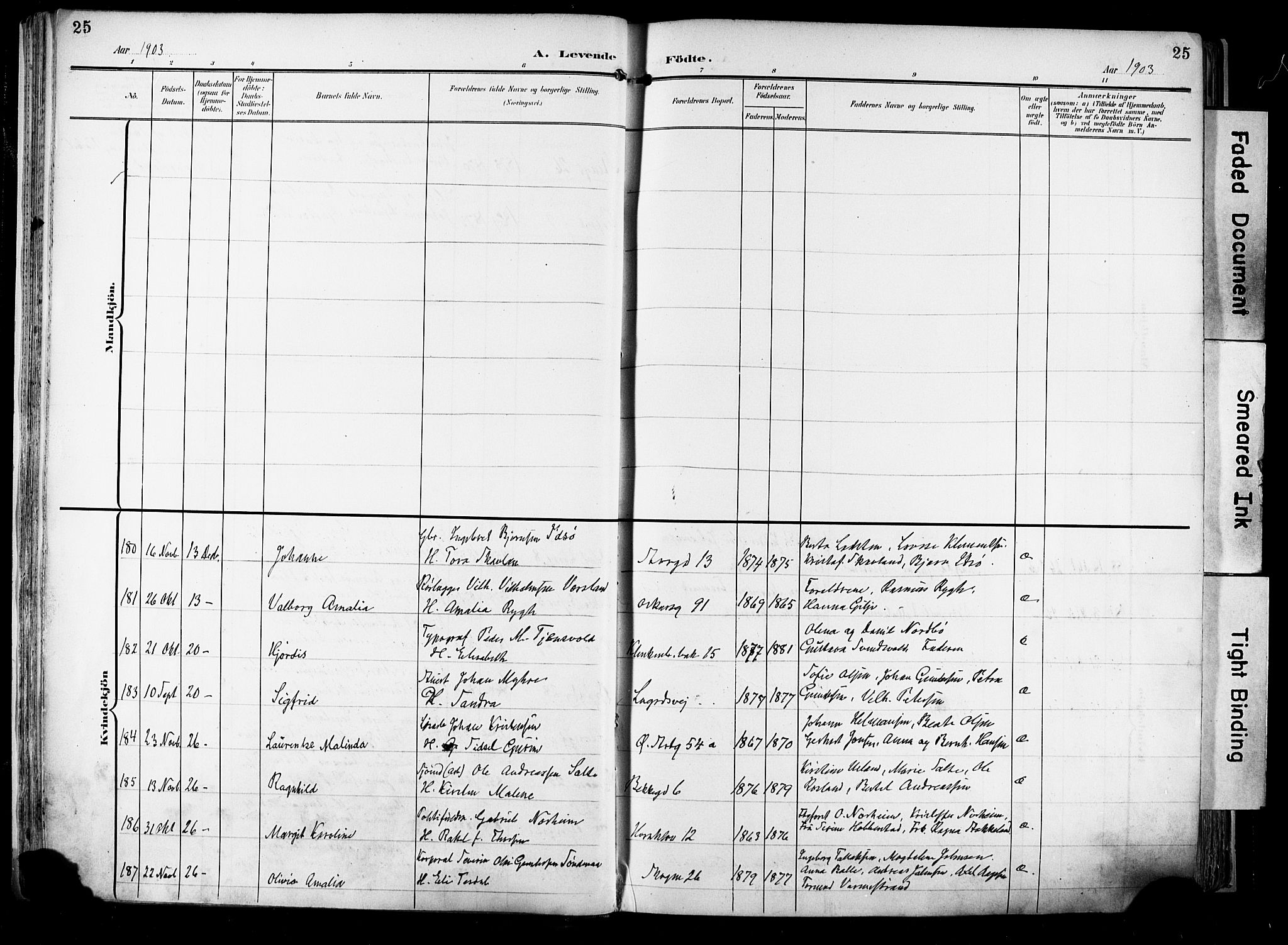 Domkirken sokneprestkontor, SAST/A-101812/001/30/30BA/L0033: Parish register (official) no. A 32, 1903-1915, p. 25