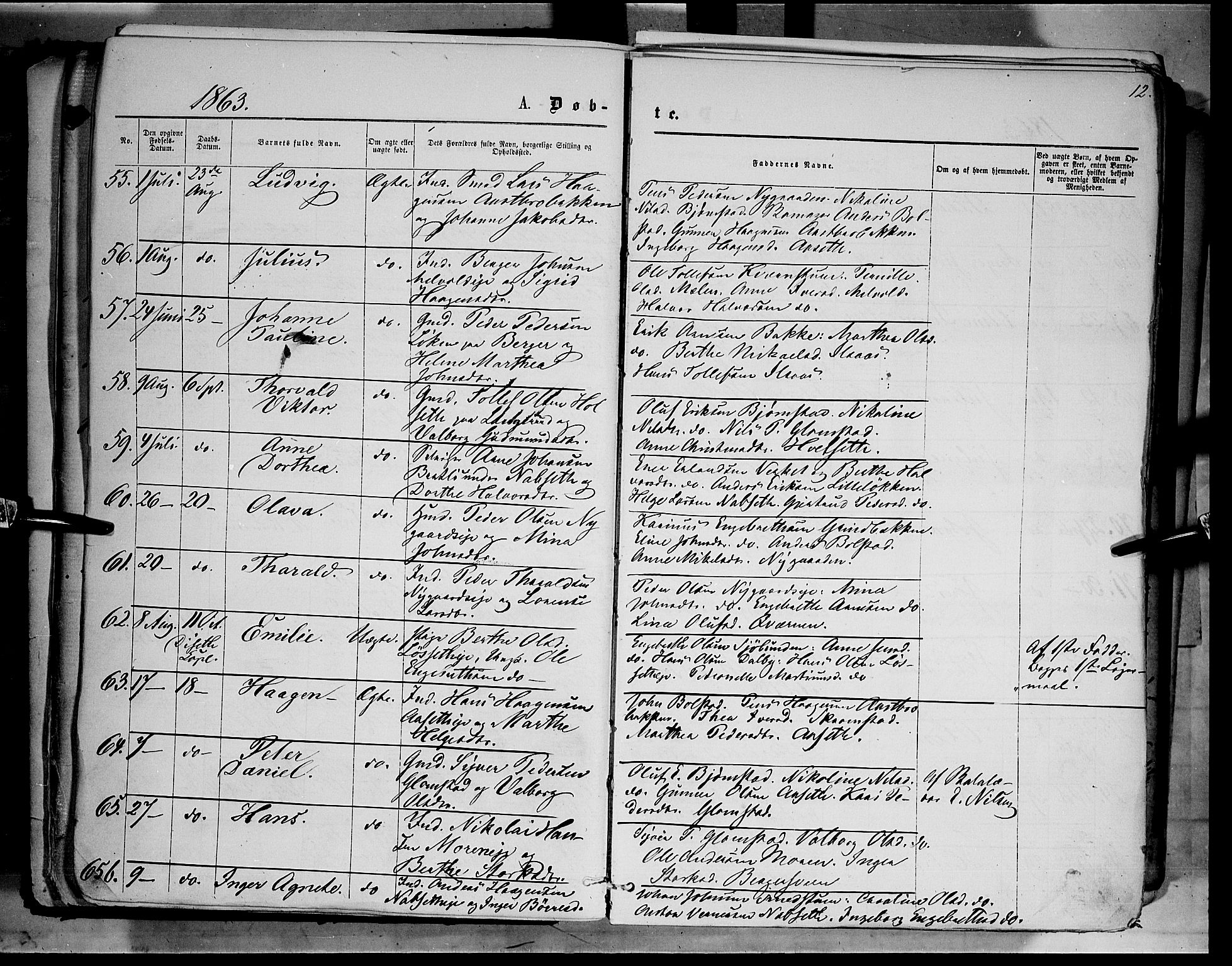 Åmot prestekontor, Hedmark, AV/SAH-PREST-056/H/Ha/Haa/L0008: Parish register (official) no. 8, 1862-1875, p. 12