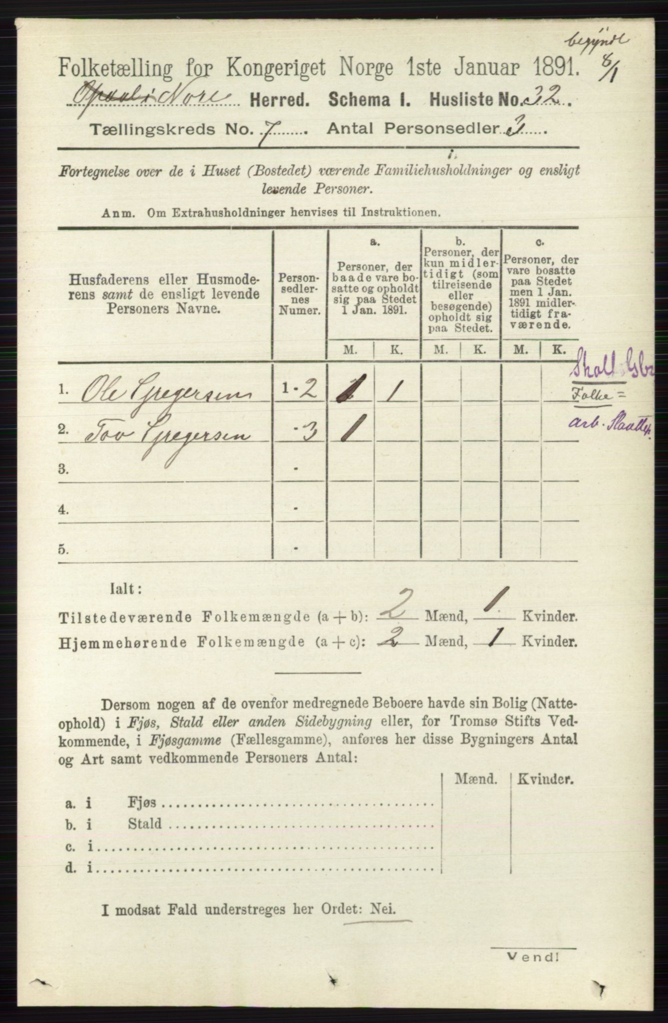 RA, 1891 census for 0633 Nore, 1891, p. 2594